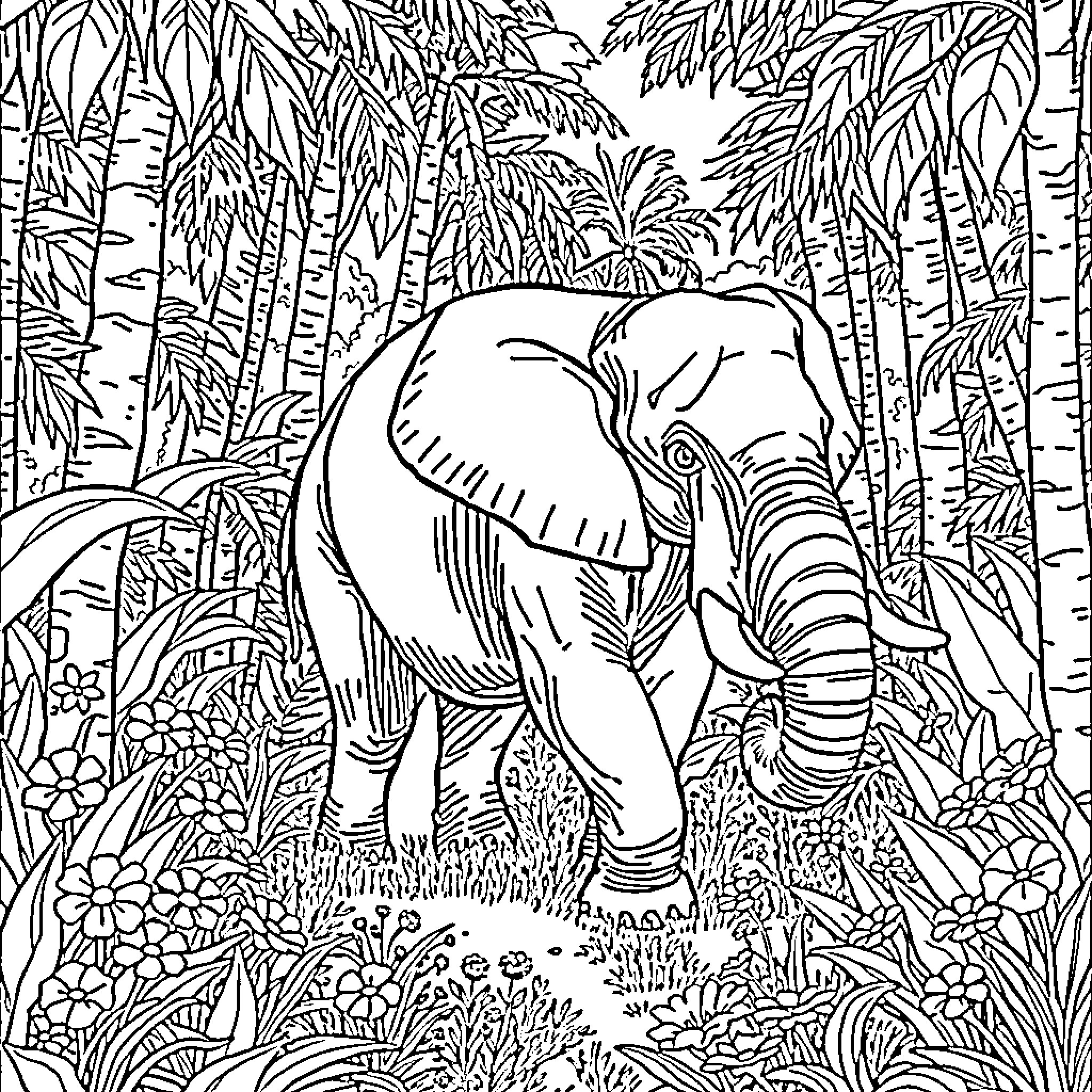Elephant in Lush Tropical Jungle Coloring Page (free black-and-white line drawing printable PDF for all, from beginners to advanced learners, including children, teens, adults, and seniors)