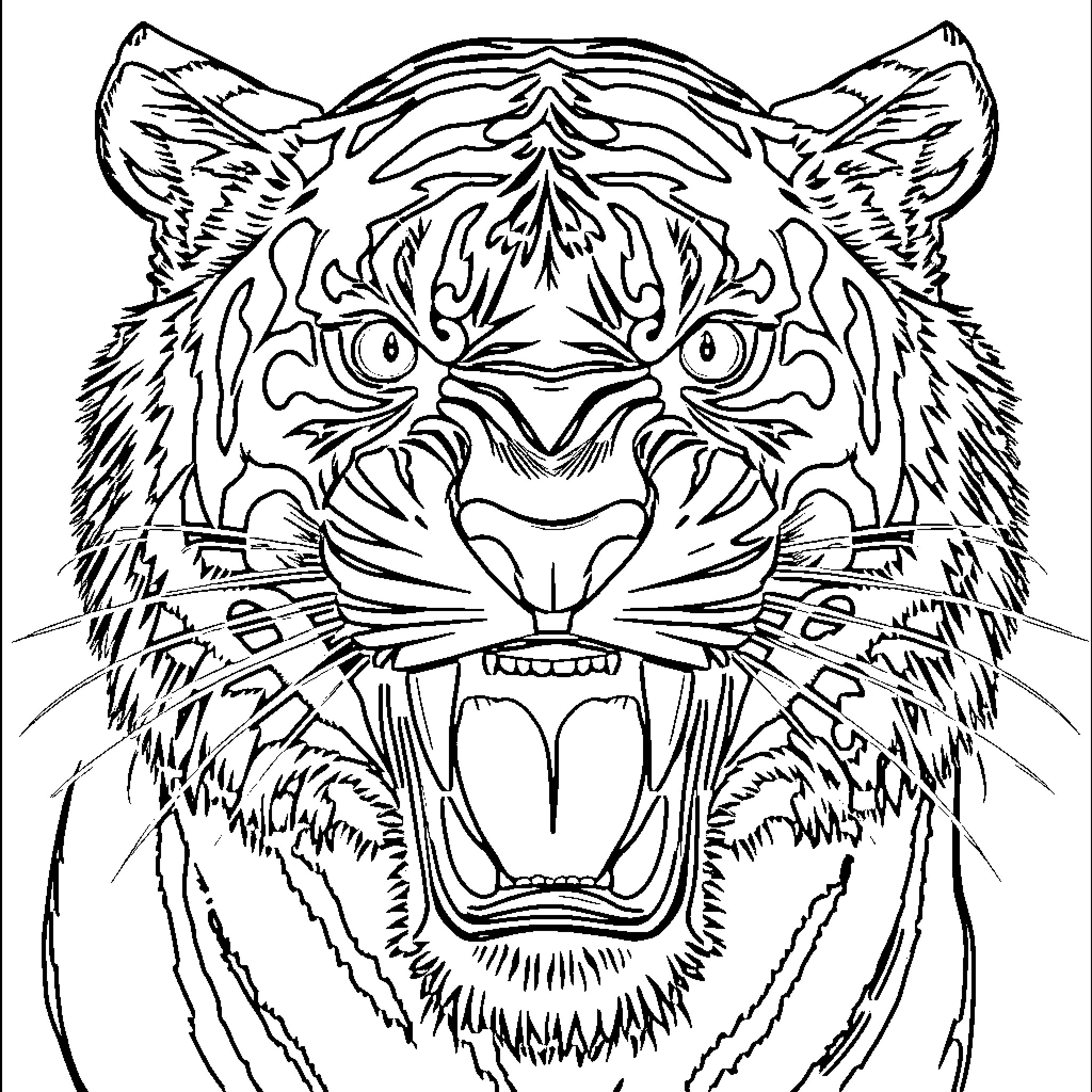 Tiger Roaring Ferociously in Detailed Sketch Coloring Page (free black-and-white line drawing printable PDF for all, from beginners to advanced learners, including children, teens, adults, and seniors)