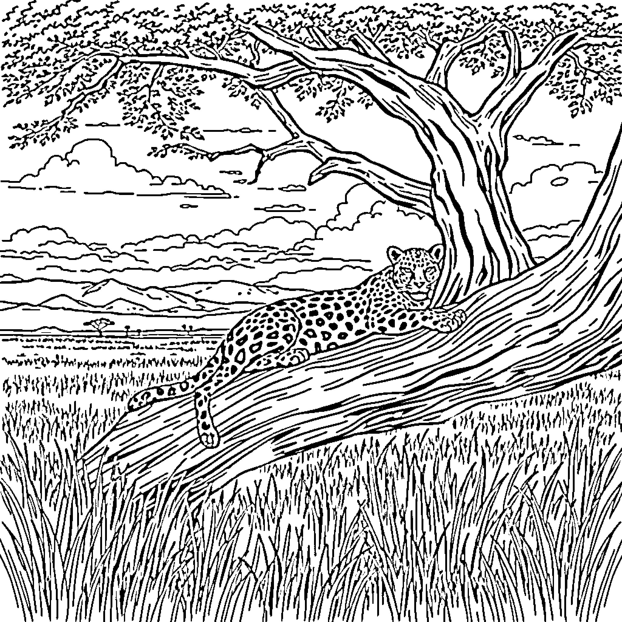 Leopard stalking through the grasslands Coloring Page (free black-and-white line drawing printable PDF for all, from beginners to advanced learners, including children, teens, adults, and seniors)