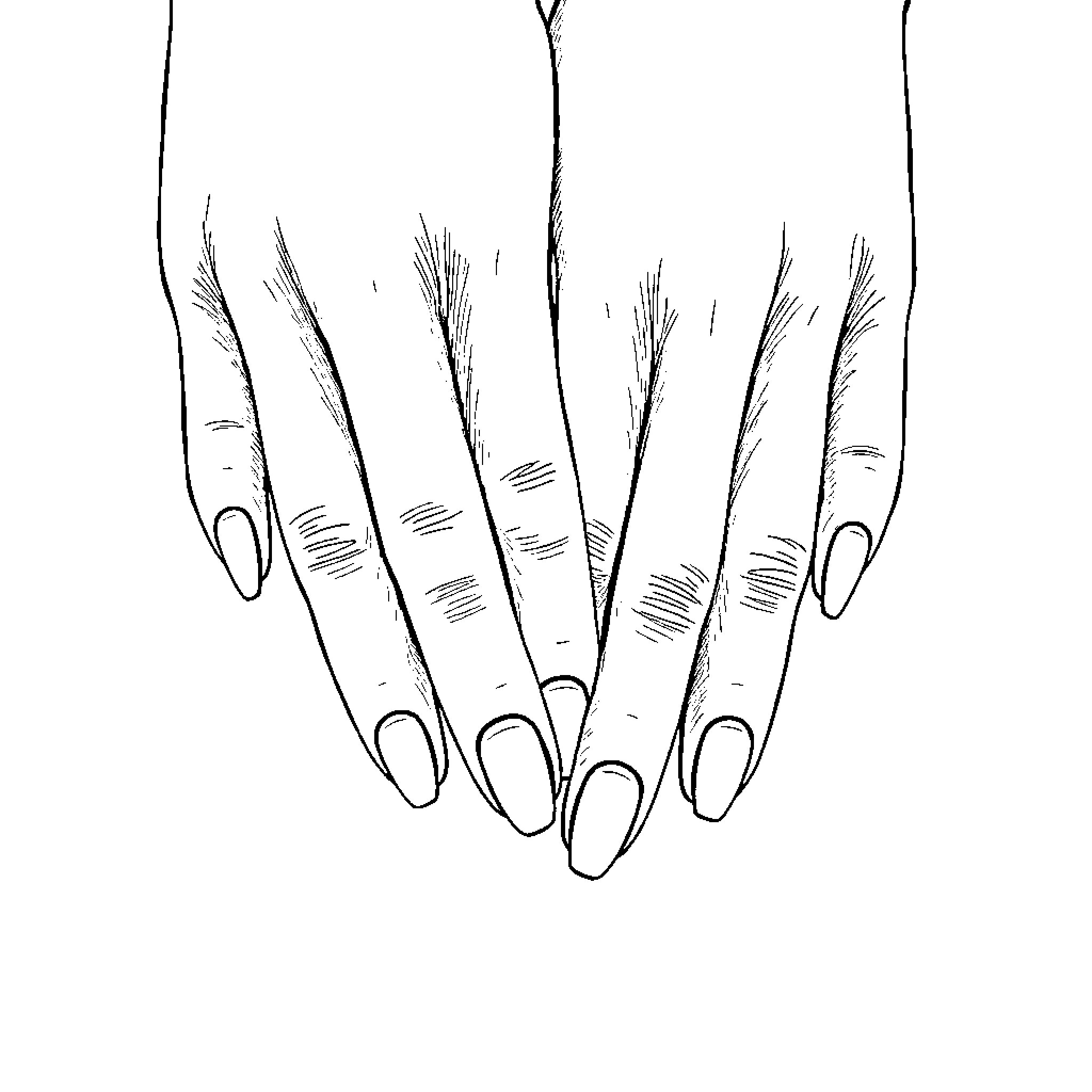Hand Holding Delicate Stems in Minimalist Style Coloring Page (free black-and-white line drawing printable PDF for all, from beginners to advanced learners, including children, teens, adults, and seniors)