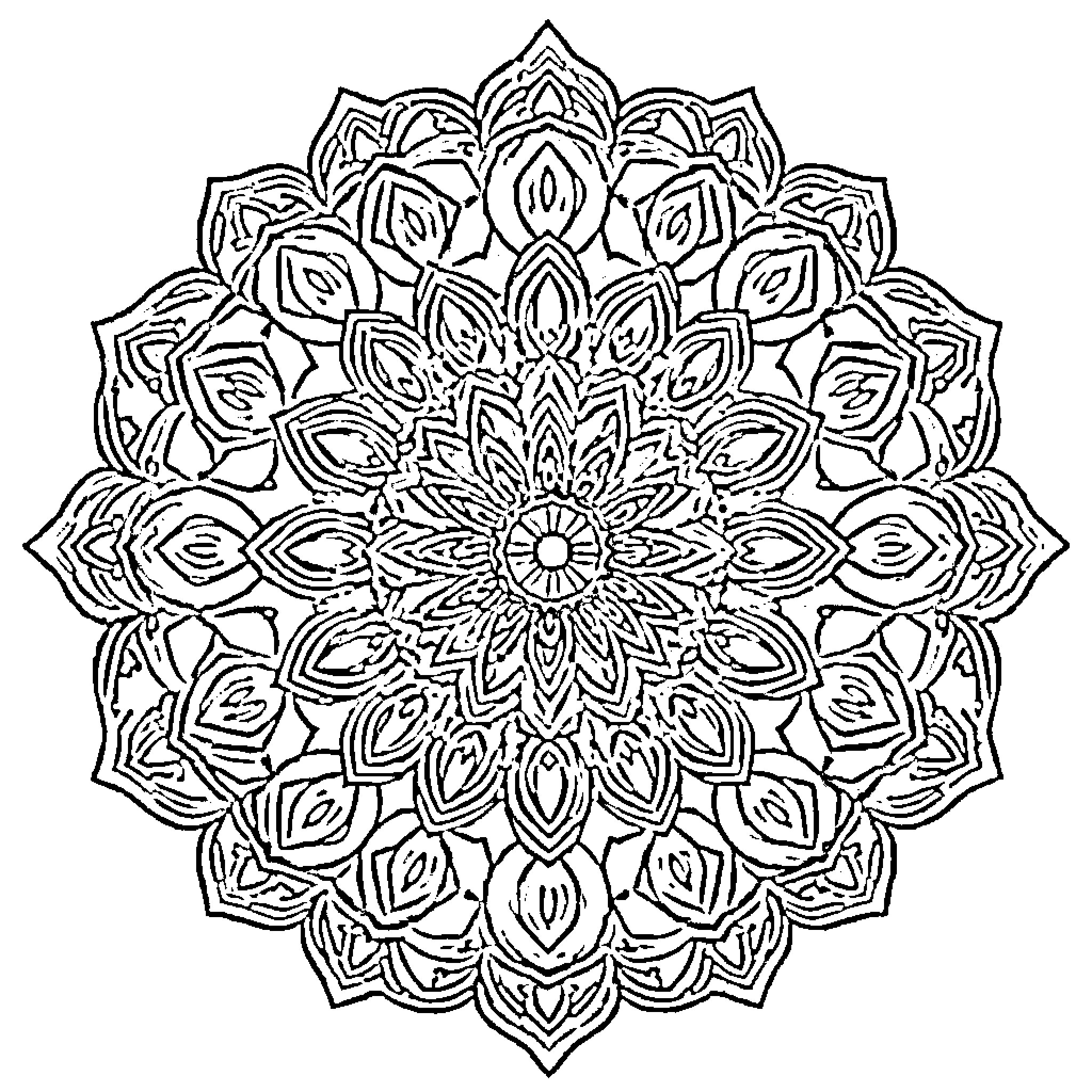 Mandala of intricate floral patterns Coloring Page (free black-and-white line drawing printable PDF for all, from beginners to advanced learners, including children, teens, adults, and seniors)