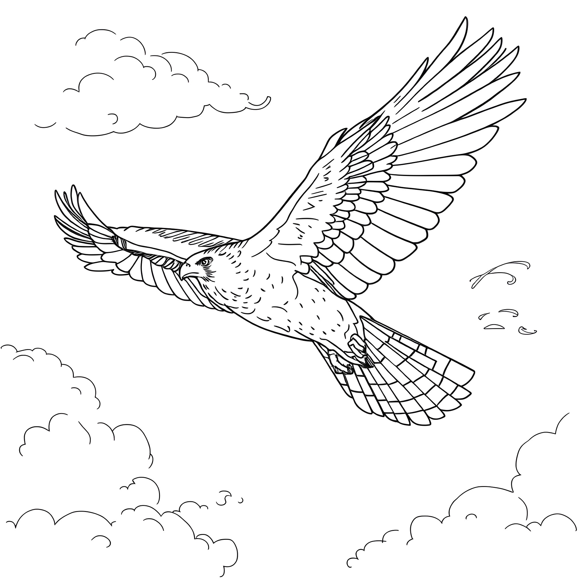 Hawk soaring through the cloudy sky Coloring Page (free black-and-white line drawing printable PDF for all, from beginners to advanced learners, including children, teens, adults, and seniors)