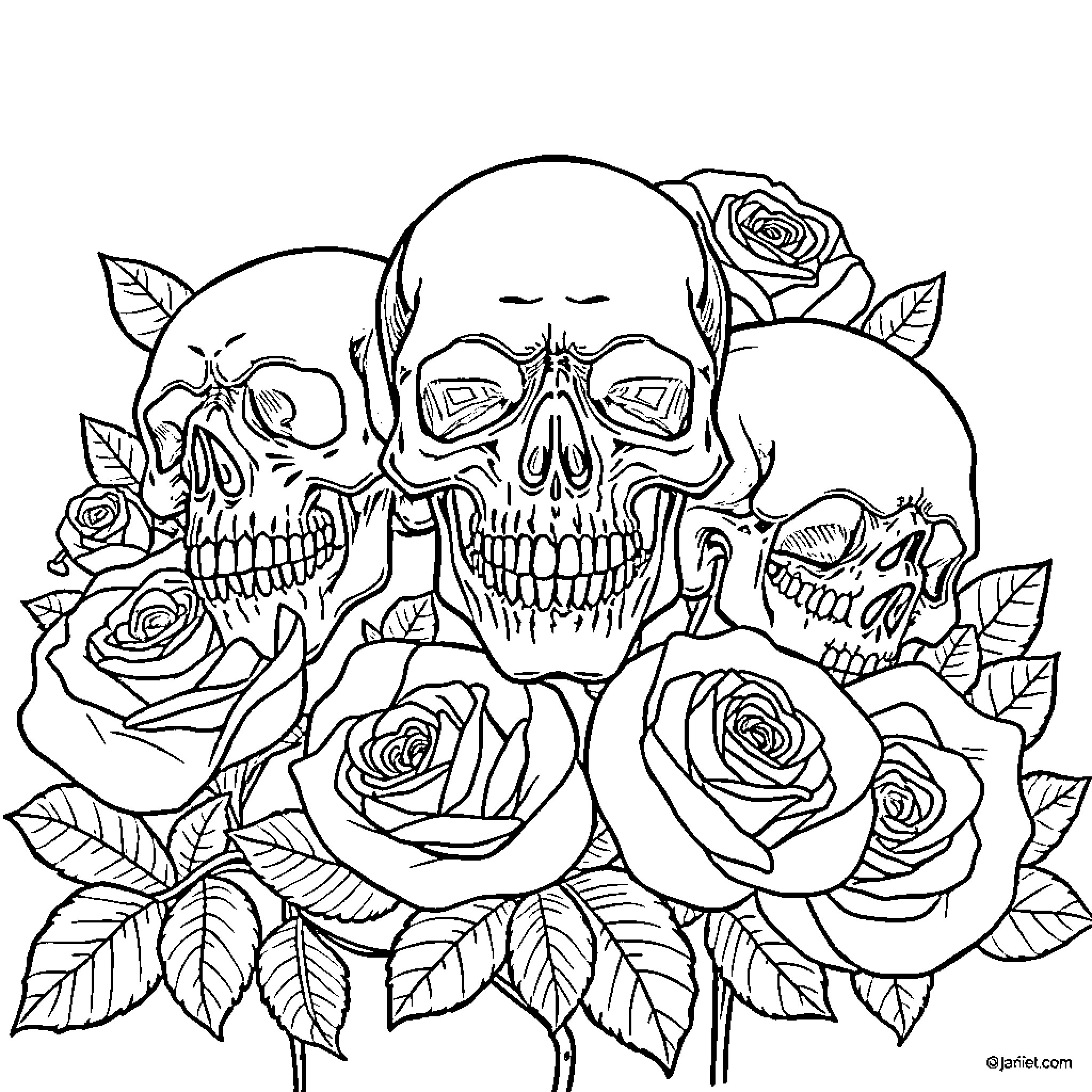 Skull surrounded by intricate rose floral design Coloring Page (free black-and-white line drawing printable PDF for all, from beginners to advanced learners, including children, teens, adults, and seniors)