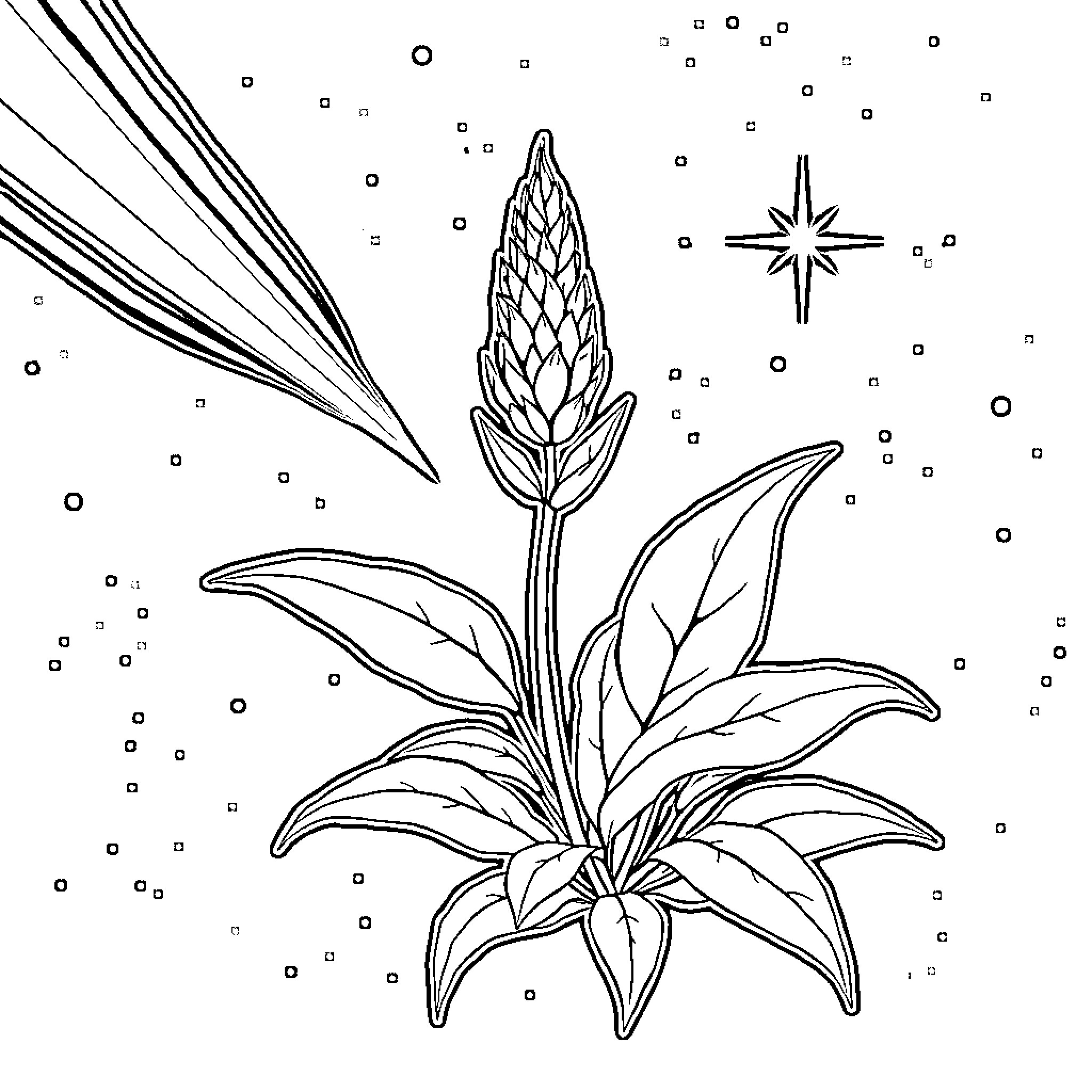 Weed blooming under starry night sky Coloring Page (free black-and-white line drawing printable PDF for all, from beginners to advanced learners, including children, teens, adults, and seniors)