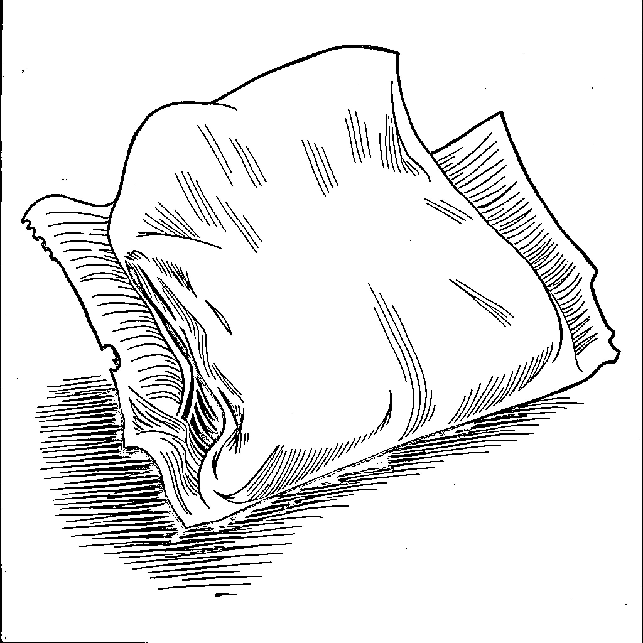 Crossman relaxing on a cozy pillow Coloring Page (free black-and-white line drawing printable PDF for all, from beginners to advanced learners, including children, teens, adults, and seniors)