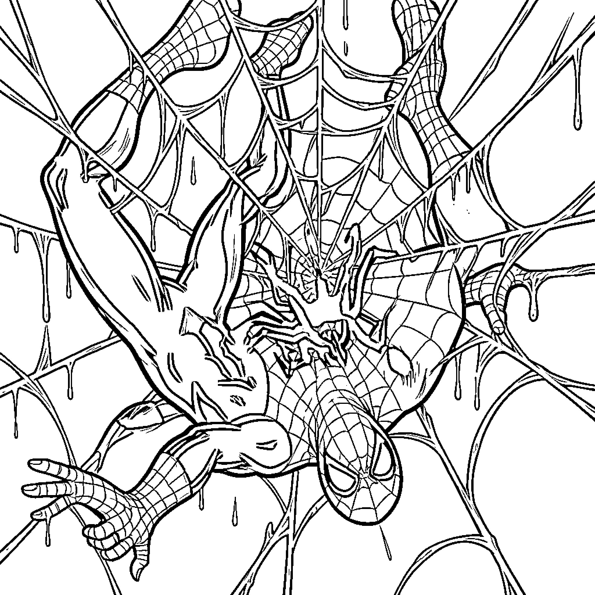 Venom attacking Spider-Man amidst a web of strands Coloring Page (free black-and-white line drawing printable PDF for all, from beginners to advanced learners, including children, teens, adults, and seniors)