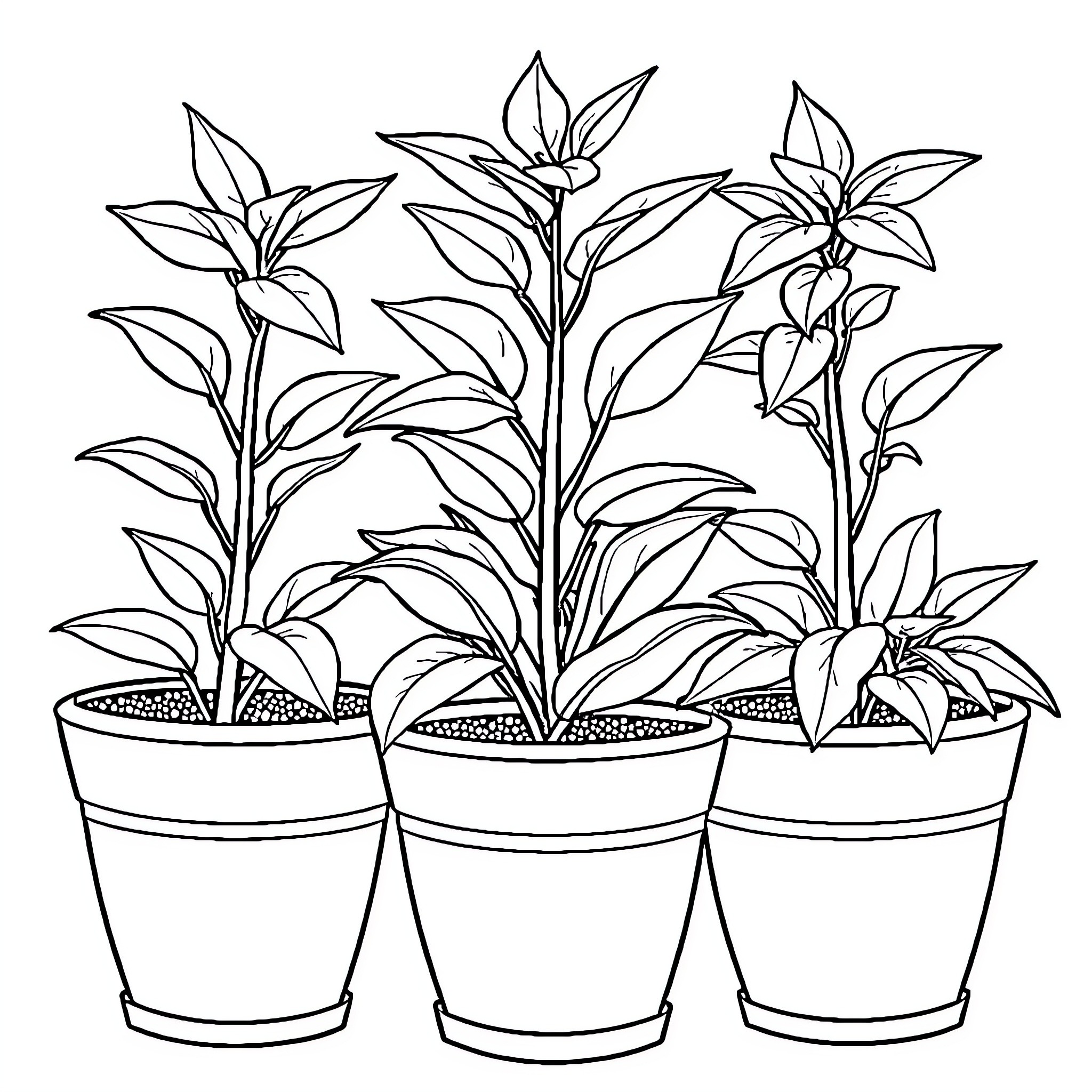 Drake's Potted Plants with Flourishing Foliage Coloring Page (free black-and-white line drawing printable PDF for all, from beginners to advanced learners, including children, teens, adults, and seniors)