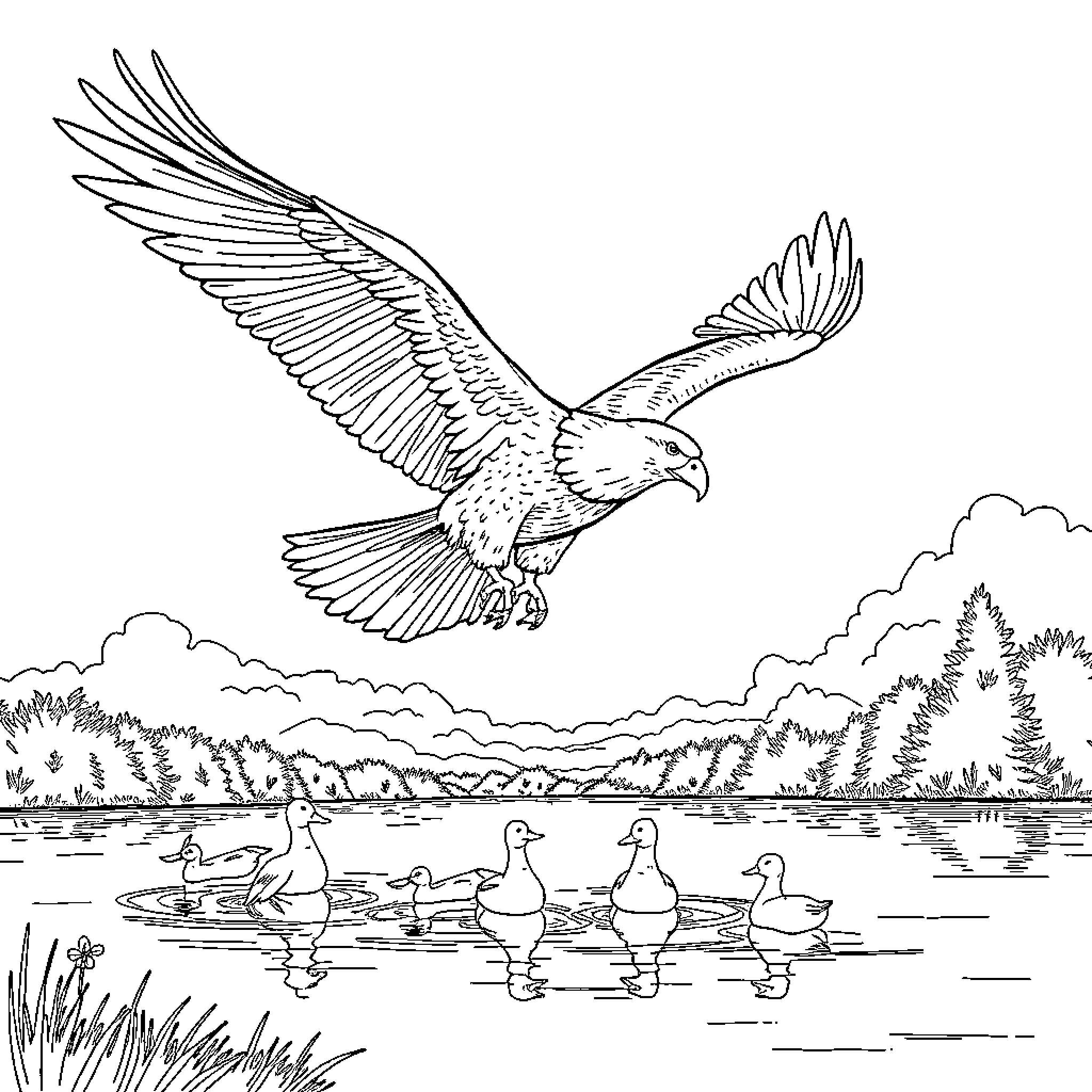 Eagle Soaring Gracefully Over Peaceful Pond Coloring Page (free black-and-white line drawing printable PDF for all, from beginners to advanced learners, including children, teens, adults, and seniors)