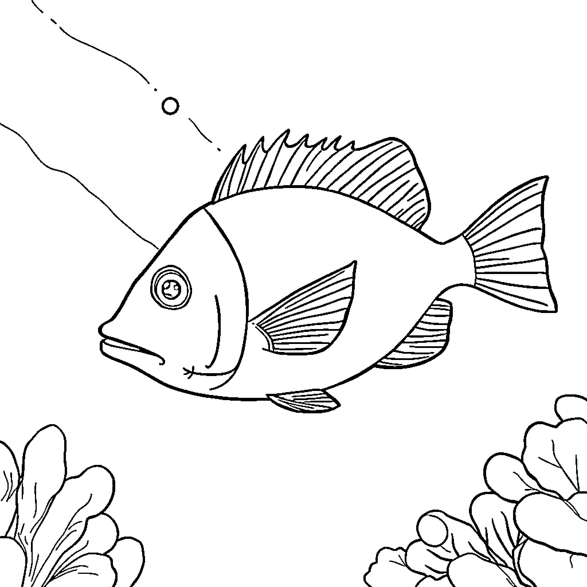 Trunkfish swimming among coral reef Coloring Page (free black-and-white line drawing printable PDF for all, from beginners to advanced learners, including children, teens, adults, and seniors)