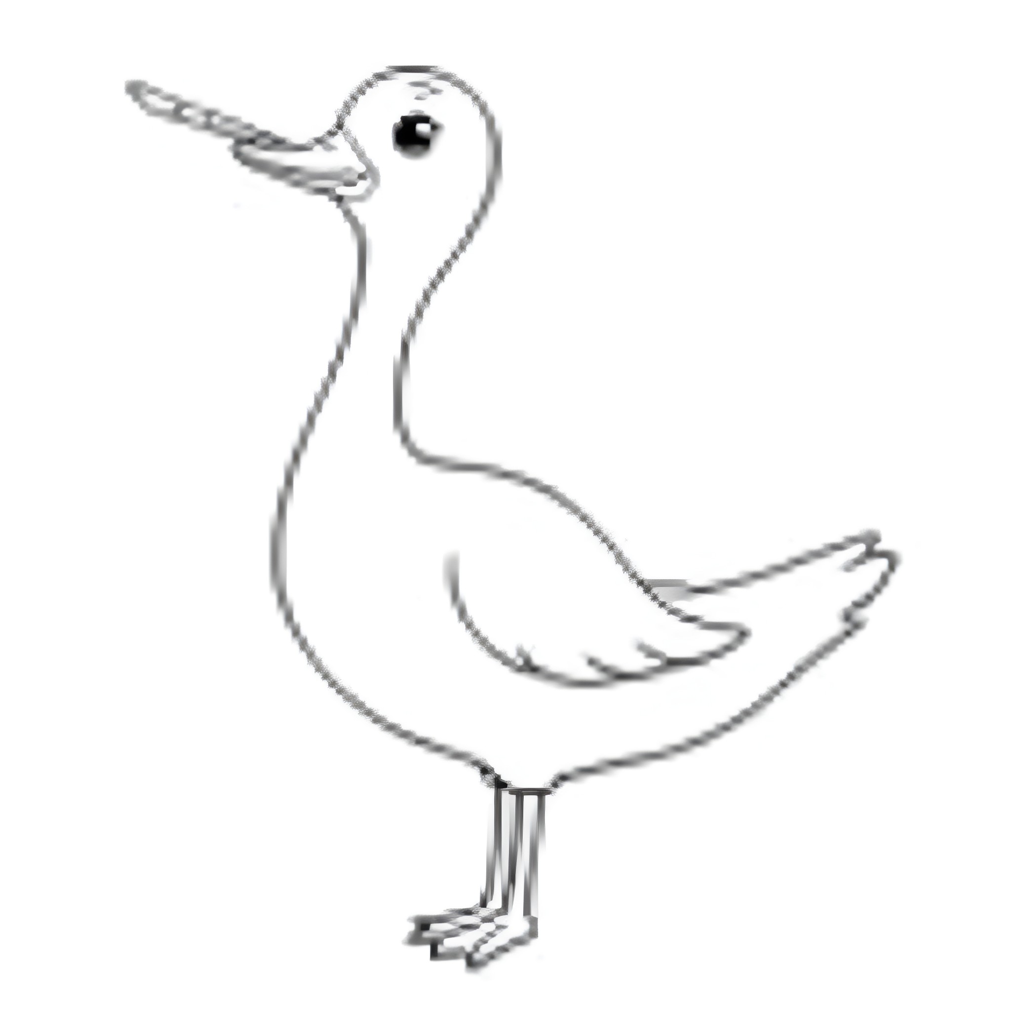 Goose walking in a simple illustration Coloring Page (free black-and-white line drawing printable PDF for all, from beginners to advanced learners, including children, teens, adults, and seniors)