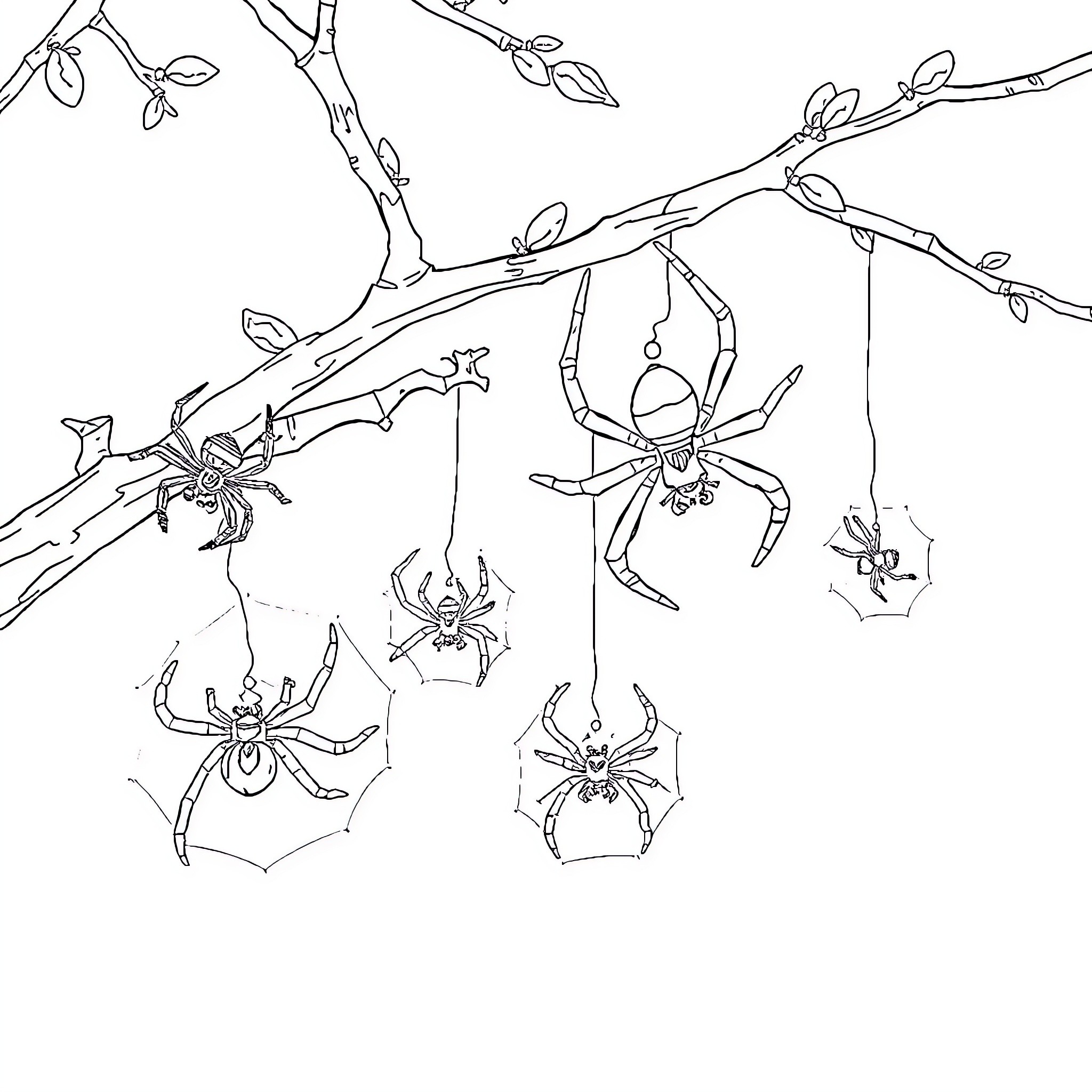 Spider creatures dangling from branching tree Coloring Page (free black-and-white line drawing printable PDF for all, from beginners to advanced learners, including children, teens, adults, and seniors)