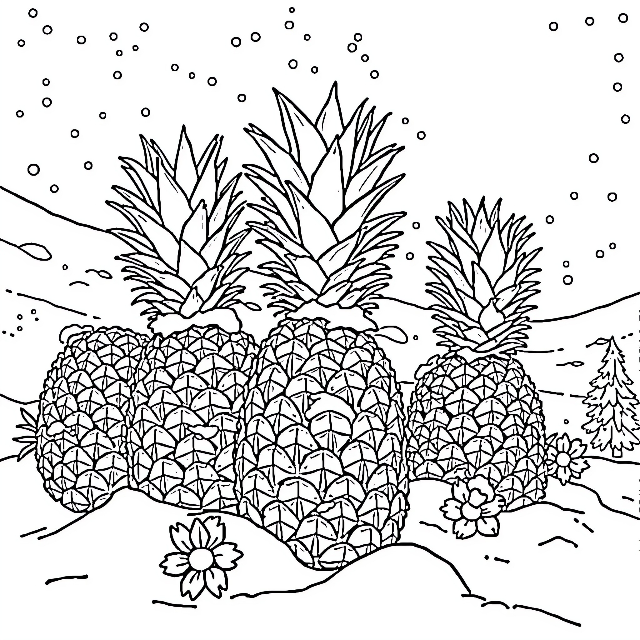 Pineapple patch in snowy landscape Coloring Page (free black-and-white line drawing printable PDF for all, from beginners to advanced learners, including children, teens, adults, and seniors)