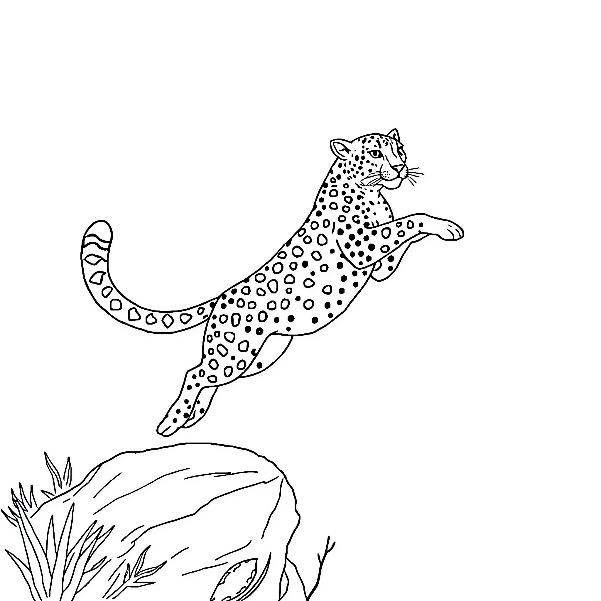 Cheetah leaping gracefully on grassy terrain Coloring Page (free black-and-white line drawing printable PDF for all, from beginners to advanced learners, including children, teens, adults, and seniors)