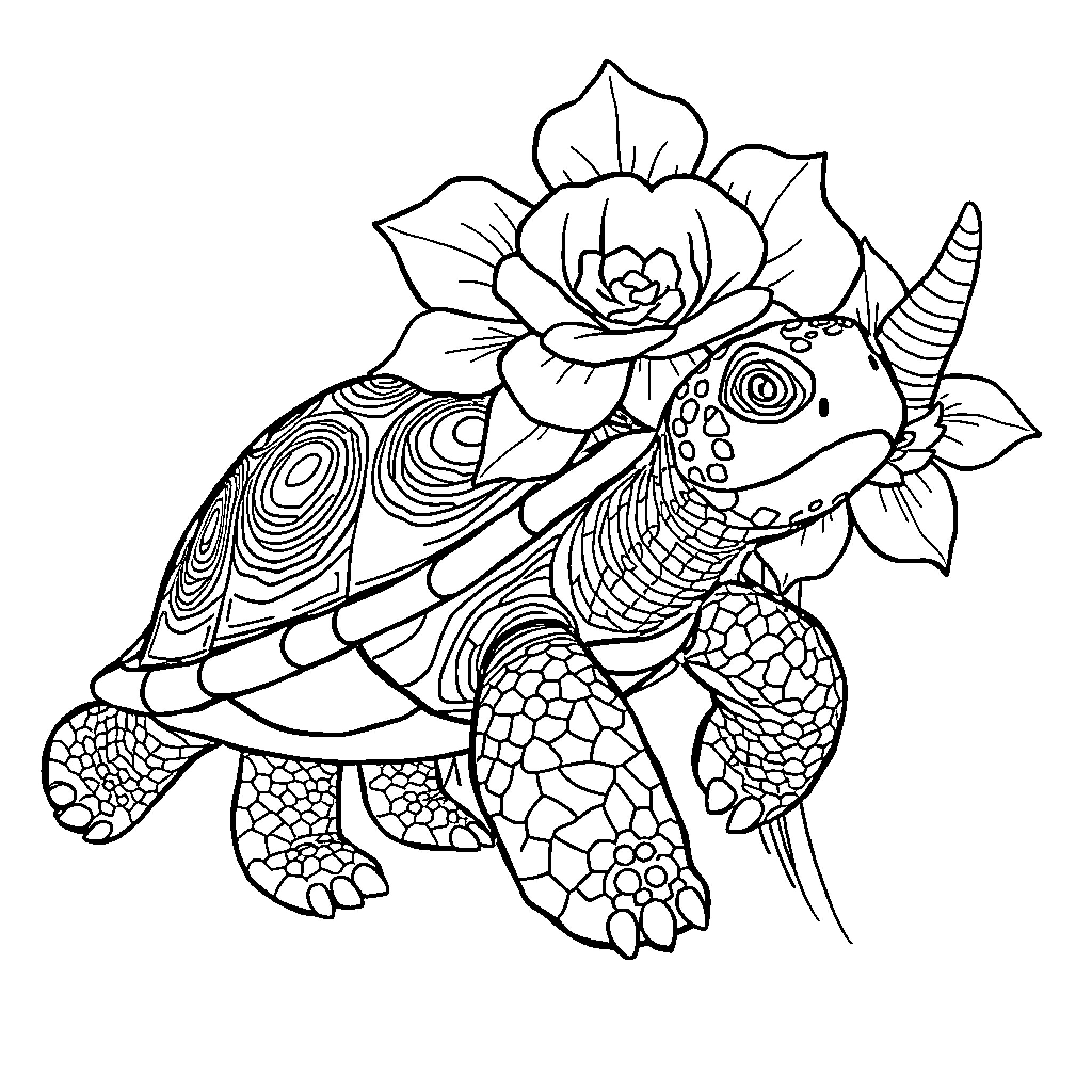 Turtle with ornate floral design Coloring Page (free black-and-white line drawing printable PDF for all, from beginners to advanced learners, including children, teens, adults, and seniors)