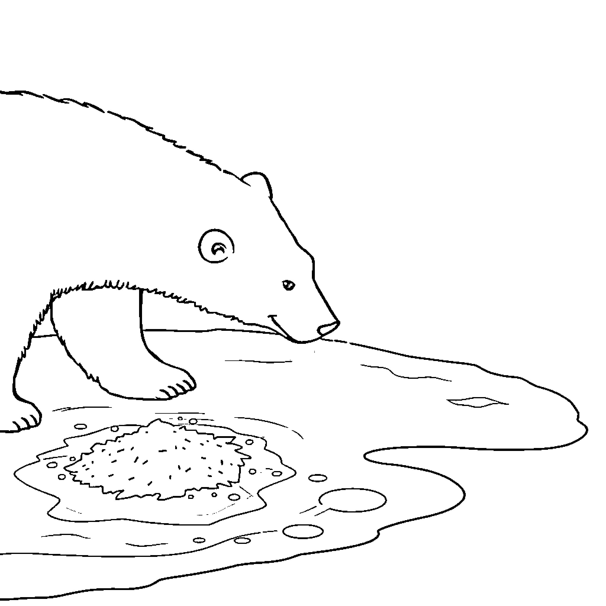 Polar Bear enjoying a snowy pond Coloring Page (free black-and-white line drawing printable PDF for all, from beginners to advanced learners, including children, teens, adults, and seniors)