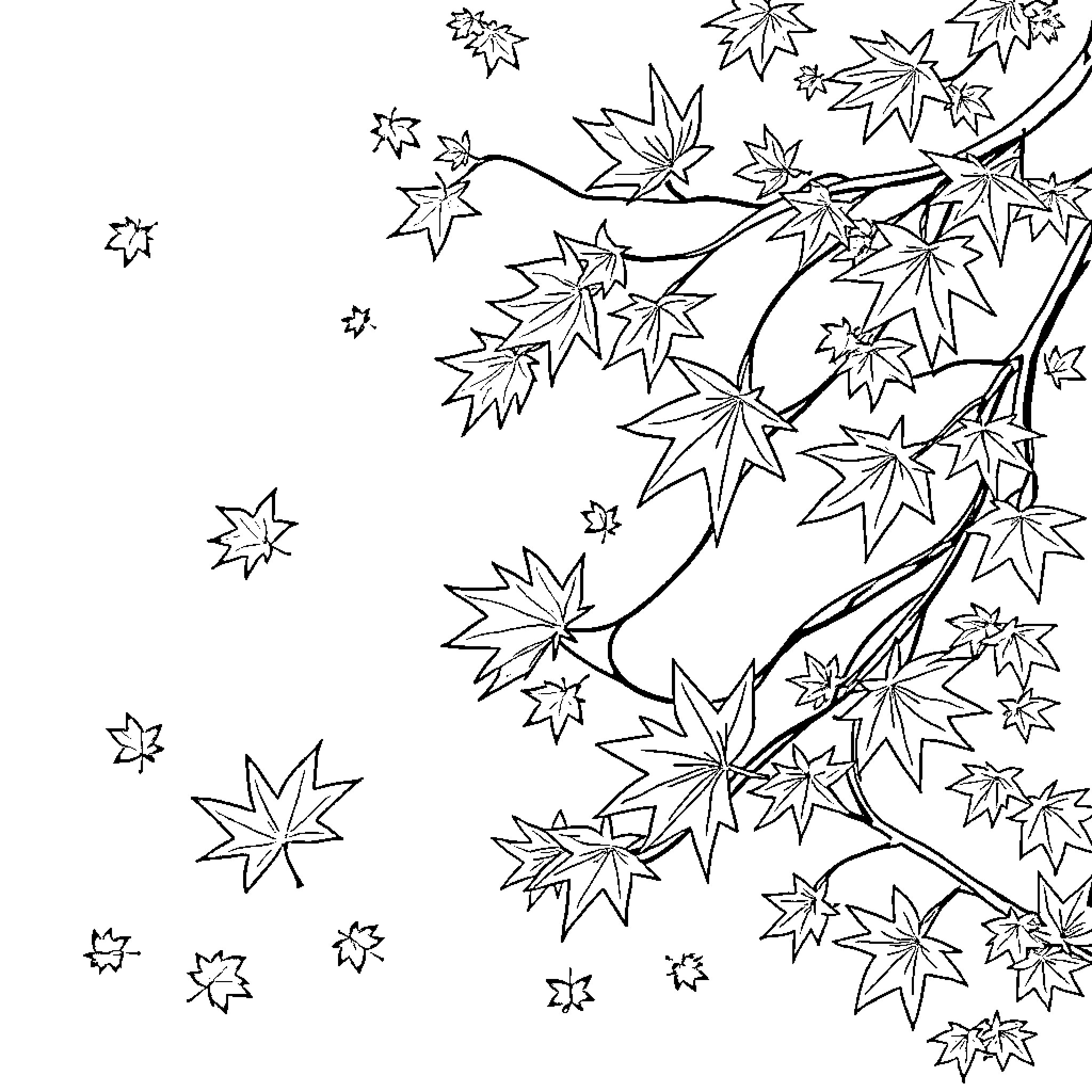 Maple Leaf Autumn Foliage in Black and White Coloring Page (free black-and-white line drawing printable PDF for all, from beginners to advanced learners, including children, teens, adults, and seniors)