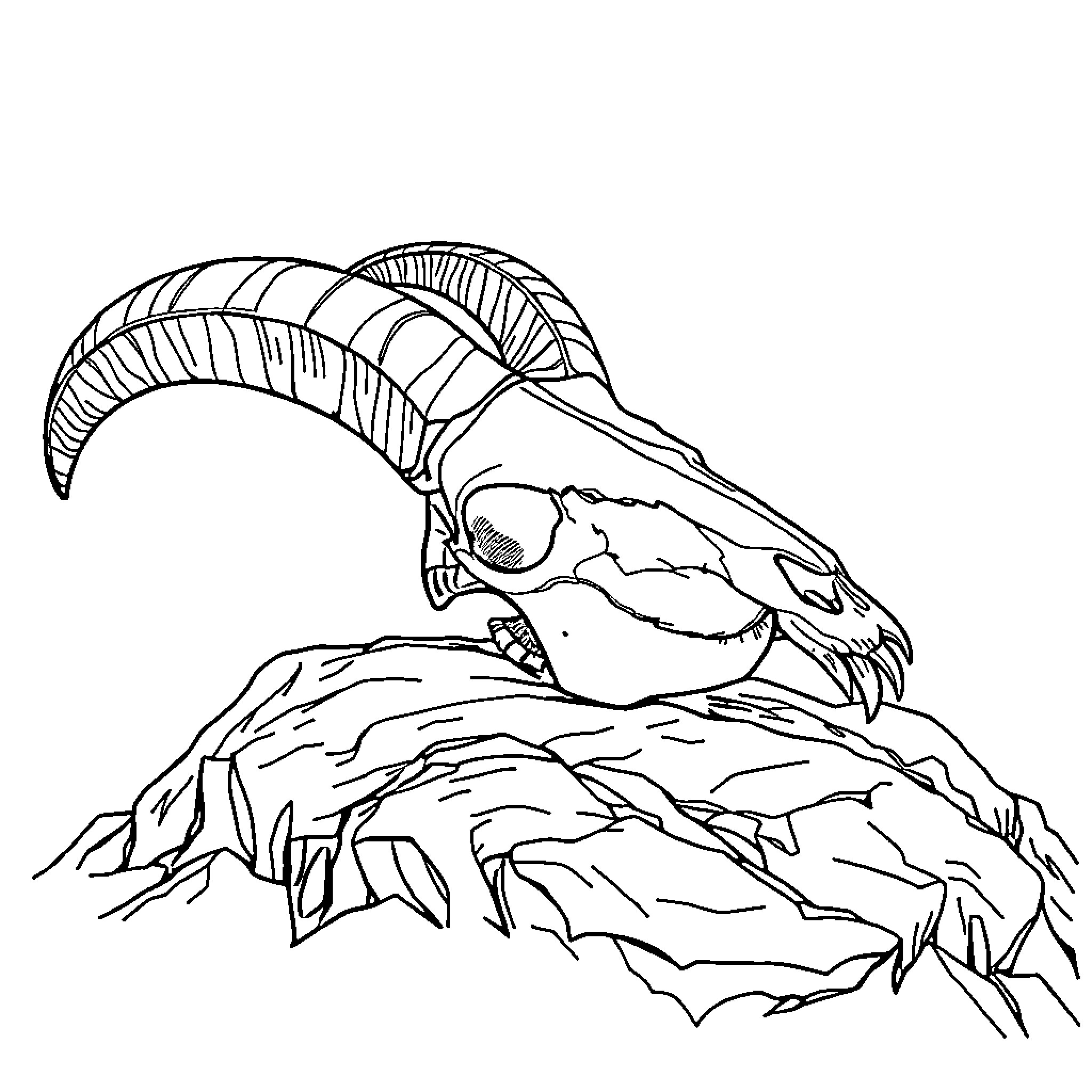 Goat skull on rocky terrain Coloring Page (free black-and-white line drawing printable PDF for all, from beginners to advanced learners, including children, teens, adults, and seniors)