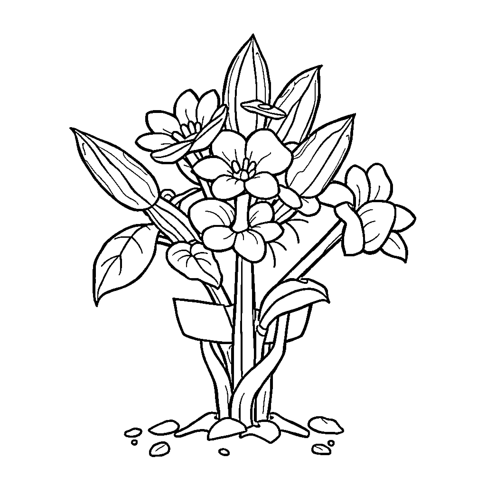 Nutcracker Floral Bouquet with Leaves Coloring Page (free black-and-white line drawing printable PDF for all, from beginners to advanced learners, including children, teens, adults, and seniors)