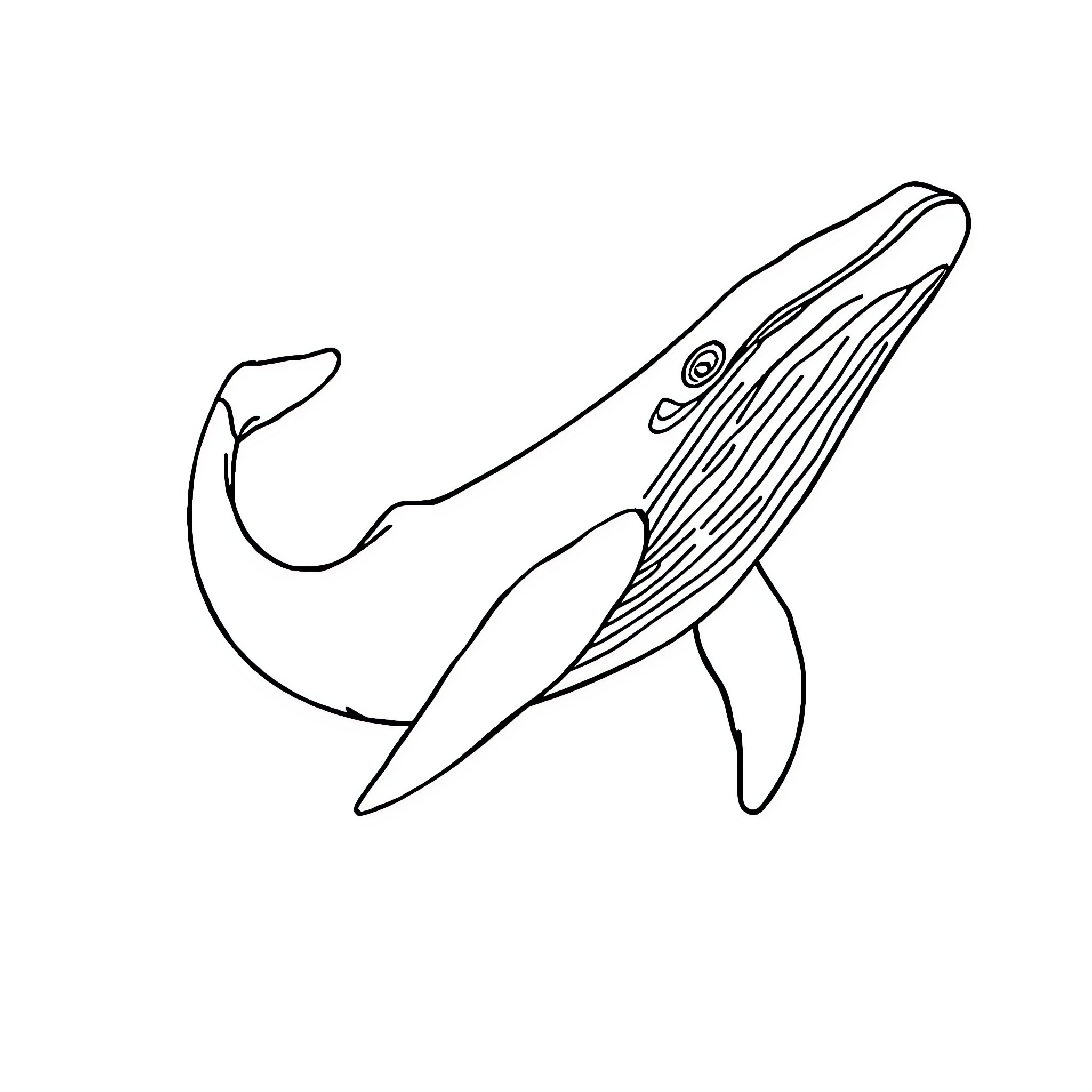 Whale swimming gracefully in the ocean Coloring Page (free black-and-white line drawing printable PDF for all, from beginners to advanced learners, including children, teens, adults, and seniors)