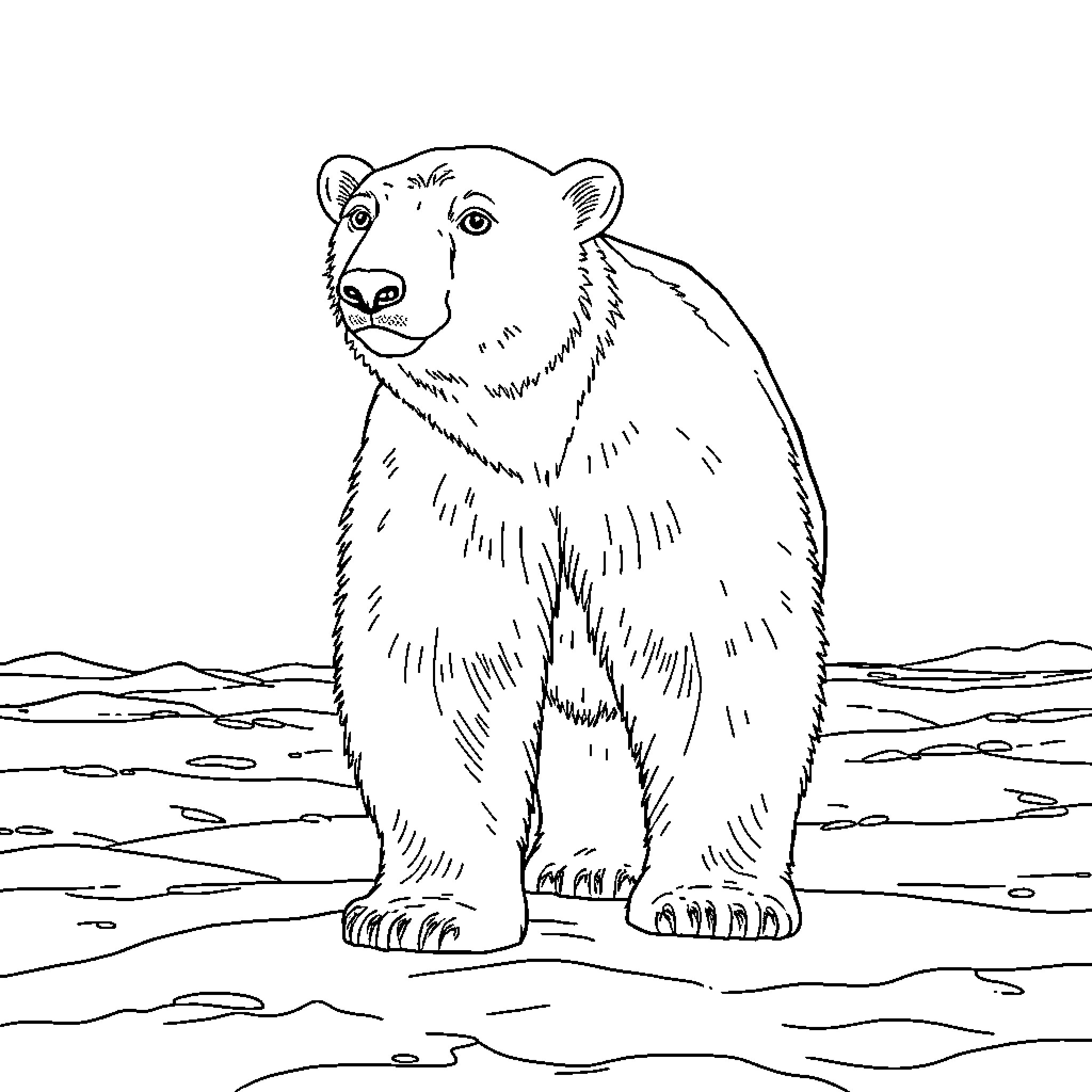 Polar Bear standing in snowy landscape Coloring Page (free black-and-white line drawing printable PDF for all, from beginners to advanced learners, including children, teens, adults, and seniors)