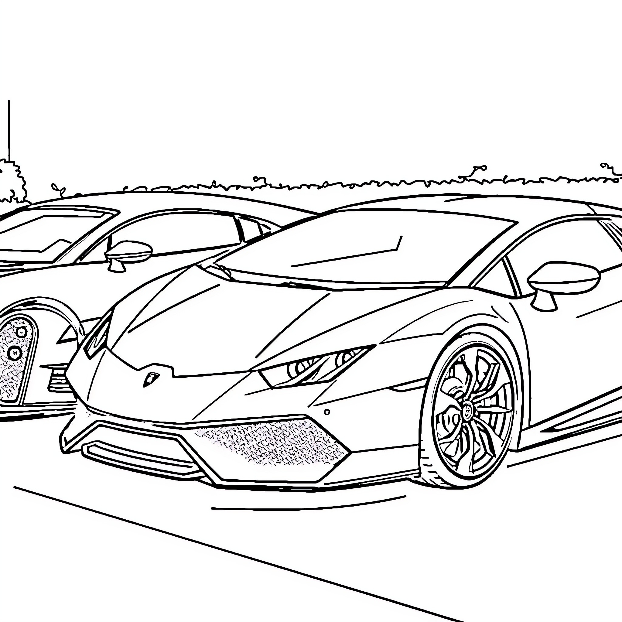 Lamborghini sports cars racing on the track Coloring Page (free black-and-white line drawing printable PDF for all, from beginners to advanced learners, including children, teens, adults, and seniors)