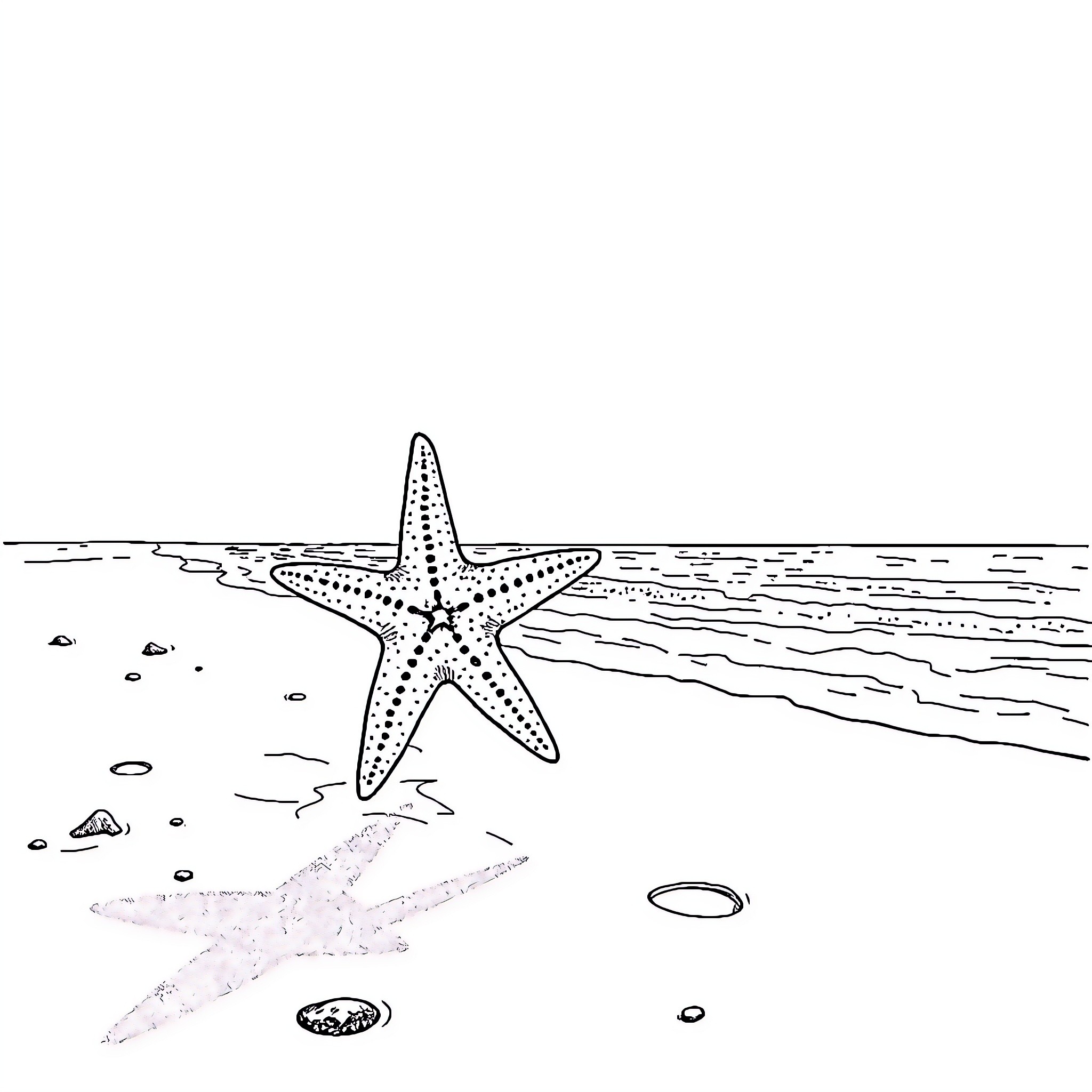 Starfish resting on the beach Coloring Page (free black-and-white line drawing printable PDF for all, from beginners to advanced learners, including children, teens, adults, and seniors)