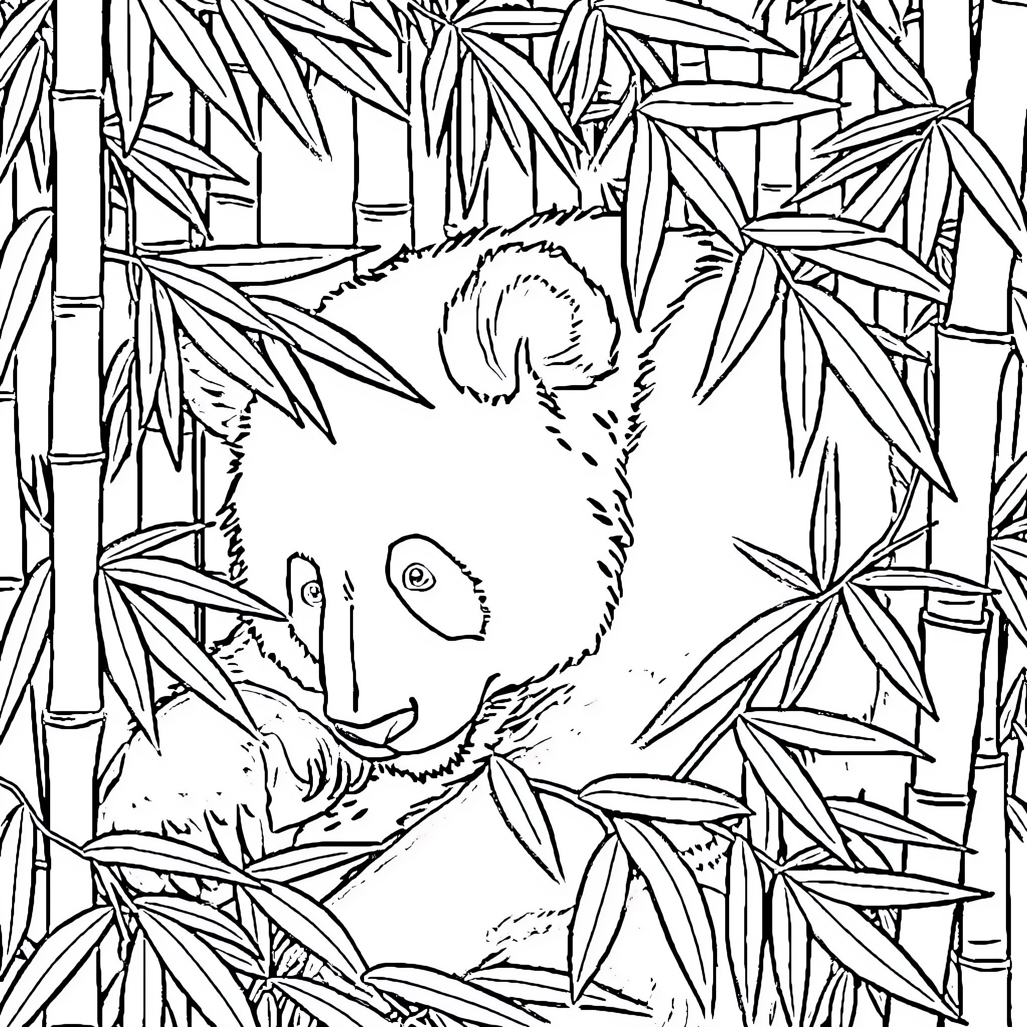 Panda Peeking through Bamboo Leaves Coloring Page (free black-and-white line drawing printable PDF for all, from beginners to advanced learners, including children, teens, adults, and seniors)