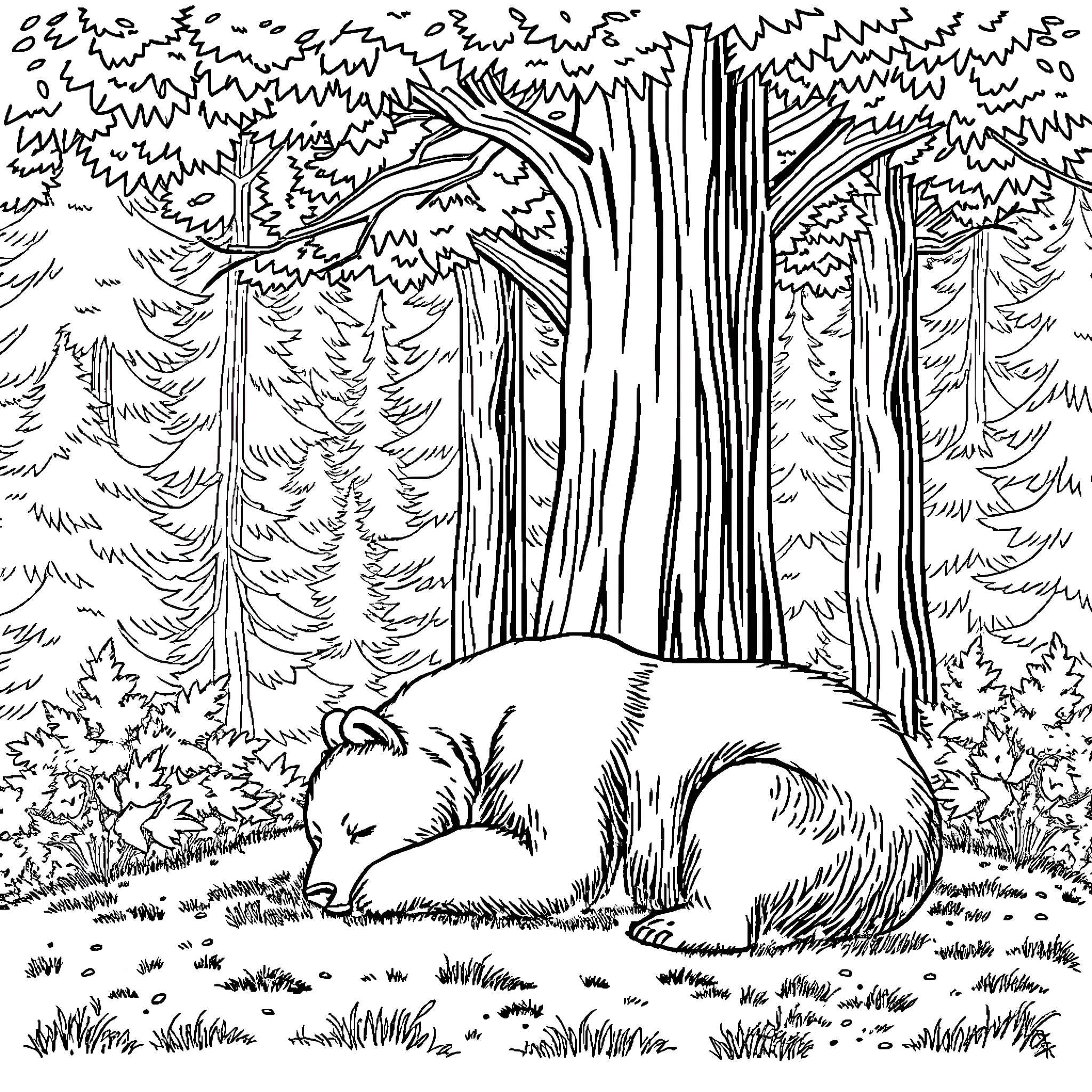 Bear Sleeping in the Peaceful Forest Coloring Page (free black-and-white line drawing printable PDF for all, from beginners to advanced learners, including children, teens, adults, and seniors)