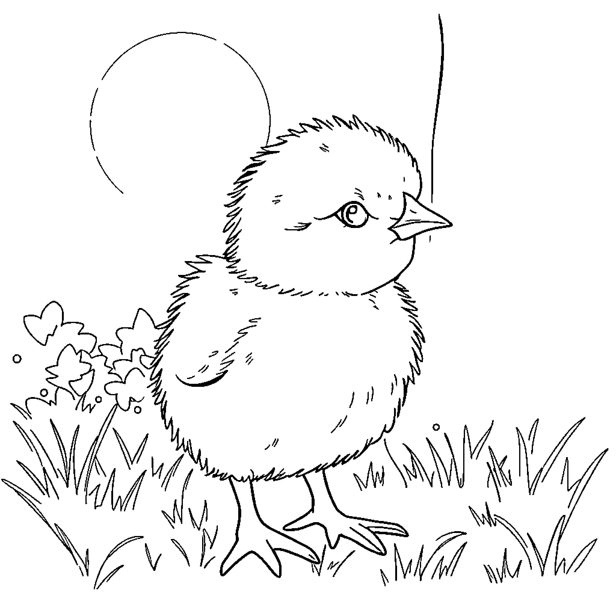 Chick exploring the garden Coloring Page (free black-and-white line drawing printable PDF for all, from beginners to advanced learners, including children, teens, adults, and seniors)