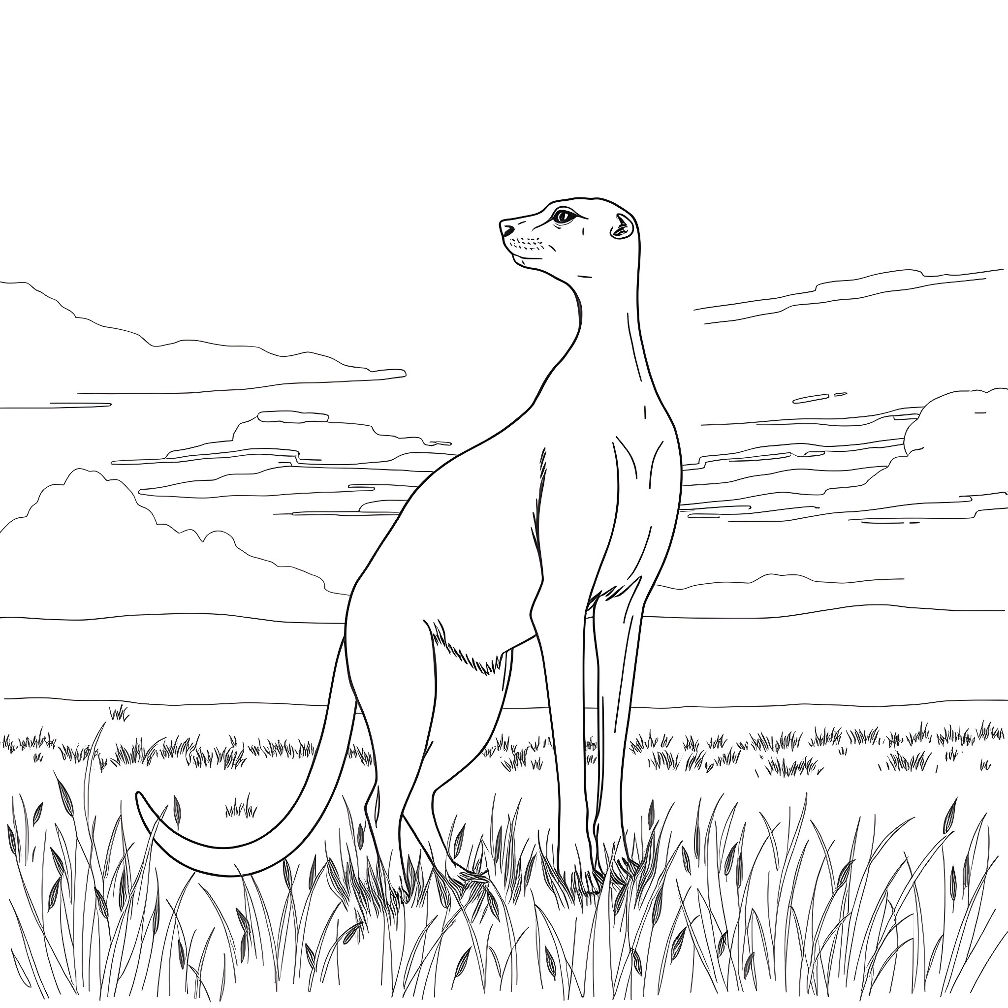 Weasel standing tall in the grassland Coloring Page (free black-and-white line drawing printable PDF for all, from beginners to advanced learners, including children, teens, adults, and seniors)