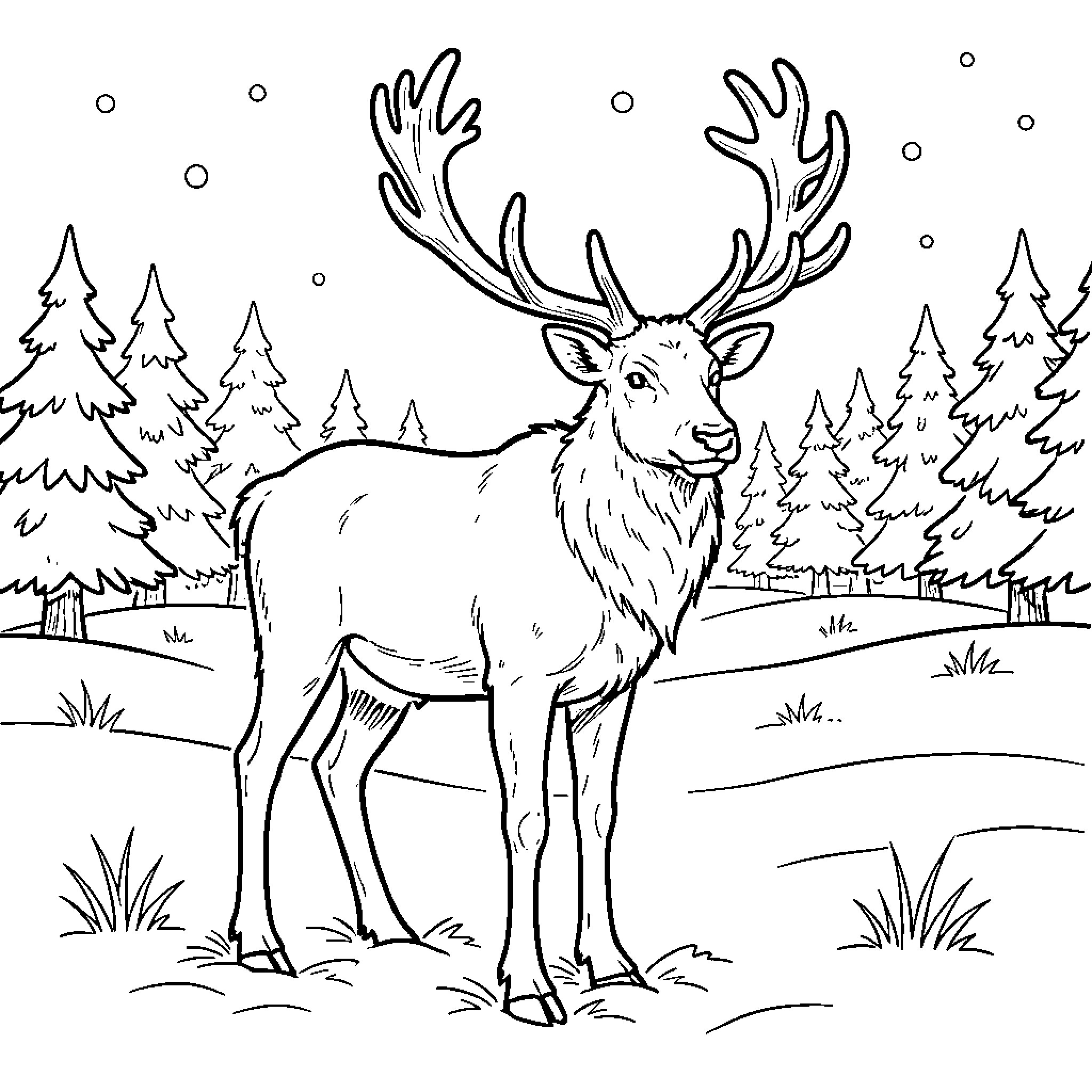 Reindeer standing peacefully in a snowy pine forest Coloring Page (free black-and-white line drawing printable PDF for all, from beginners to advanced learners, including children, teens, adults, and seniors)