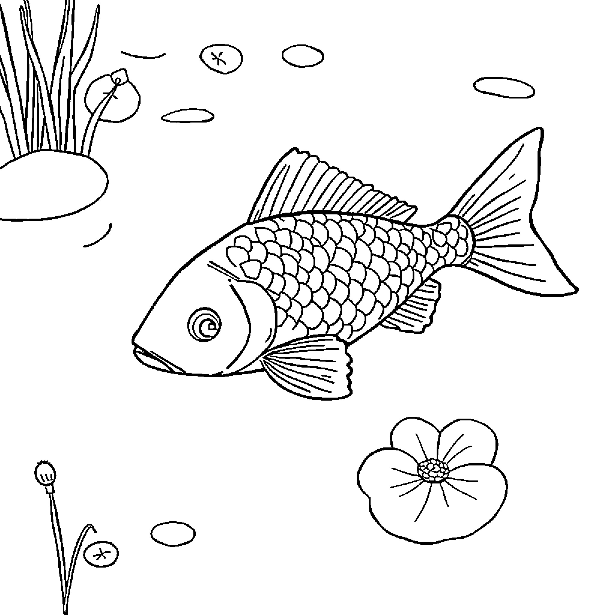Fish swimming amidst aquatic foliage Coloring Page (free black-and-white line drawing printable PDF for all, from beginners to advanced learners, including children, teens, adults, and seniors)