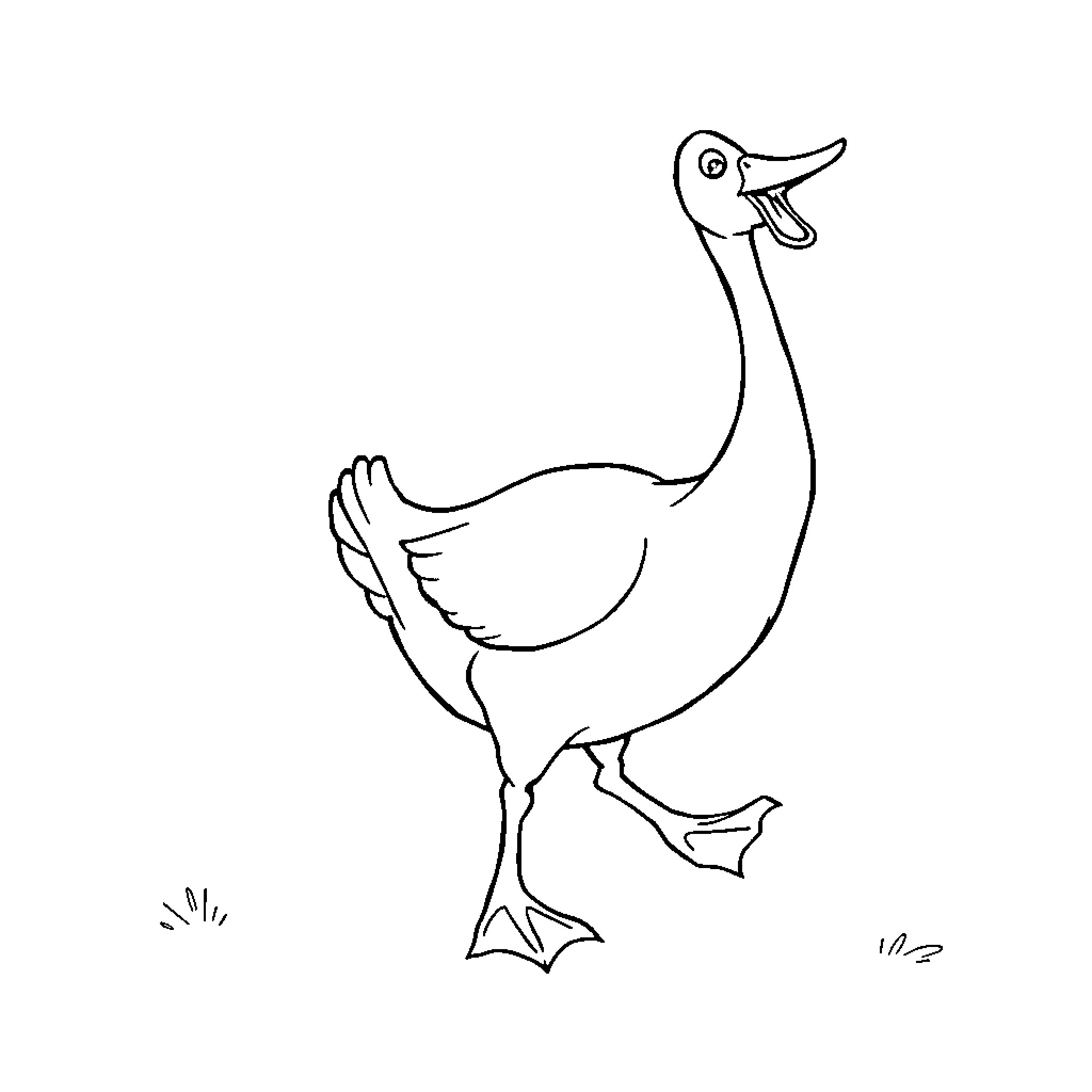 Goose strutting with confidence Coloring Page (free black-and-white line drawing printable PDF for all, from beginners to advanced learners, including children, teens, adults, and seniors)