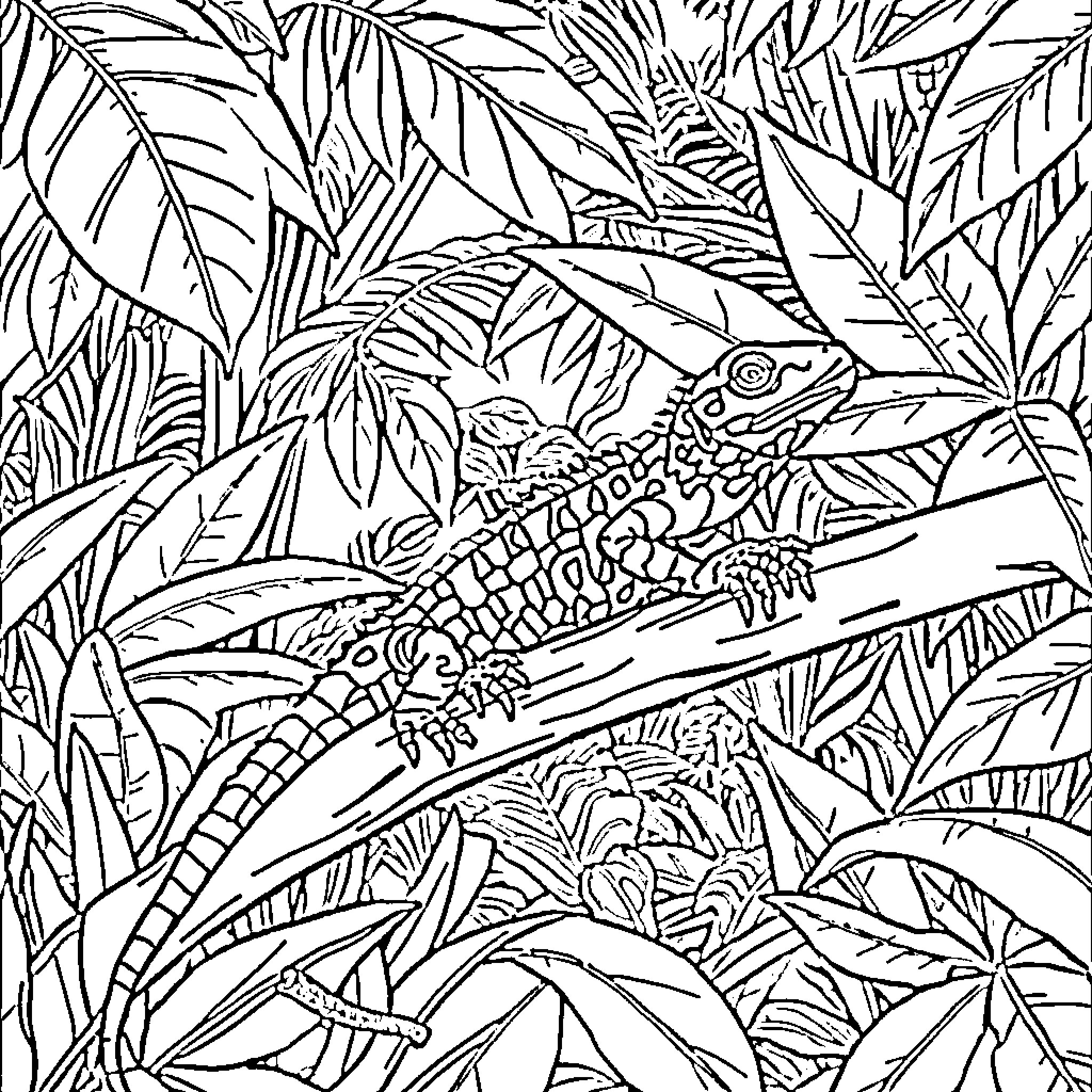 Varanus reptile in tropical foliage Coloring Page (free black-and-white line drawing printable PDF for all, from beginners to advanced learners, including children, teens, adults, and seniors)