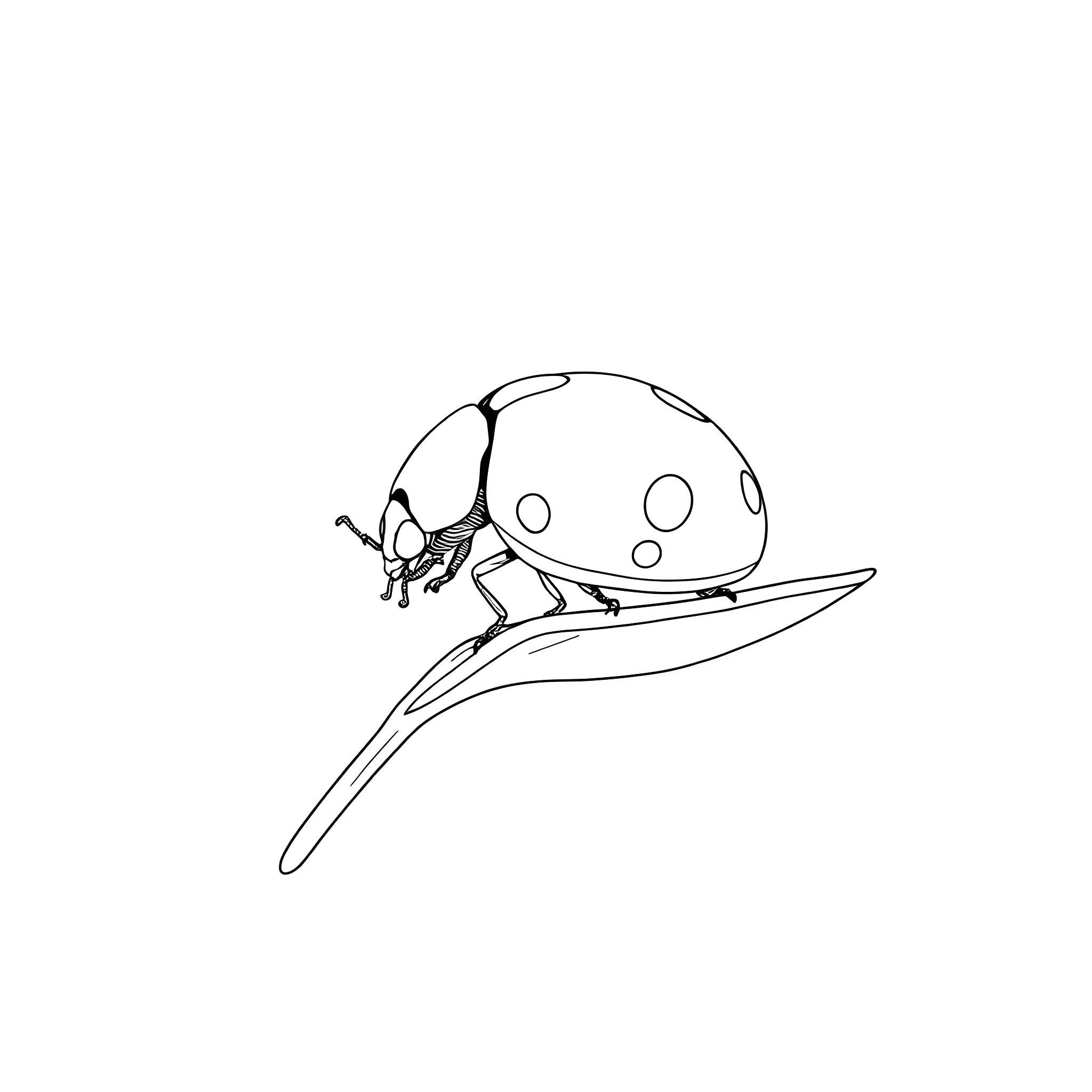 Ladybug riding a leaf Coloring Page (free black-and-white line drawing printable PDF for all, from beginners to advanced learners, including children, teens, adults, and seniors)