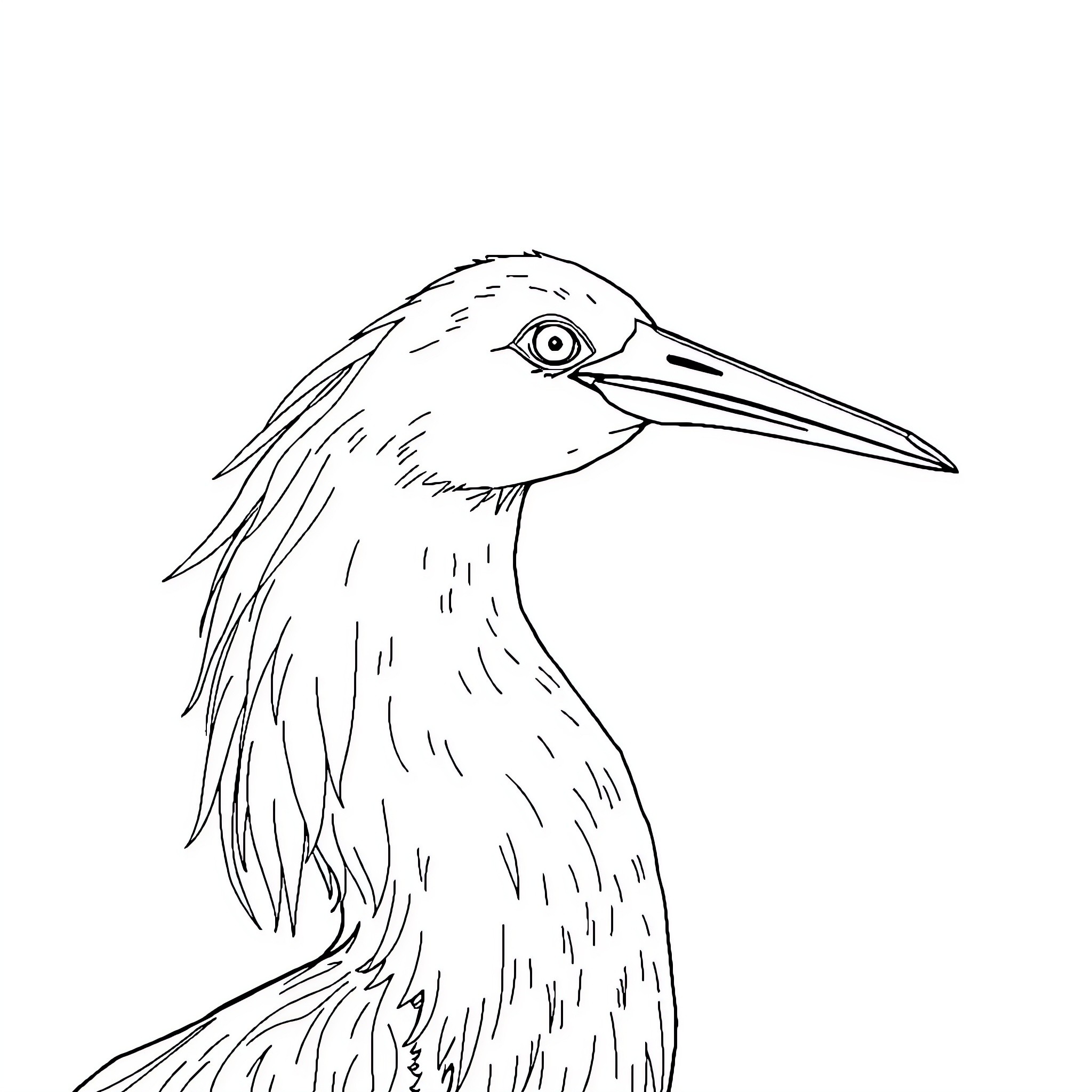 Unicorn bird taking flight Coloring Page (free black-and-white line drawing printable PDF for all, from beginners to advanced learners, including children, teens, adults, and seniors)