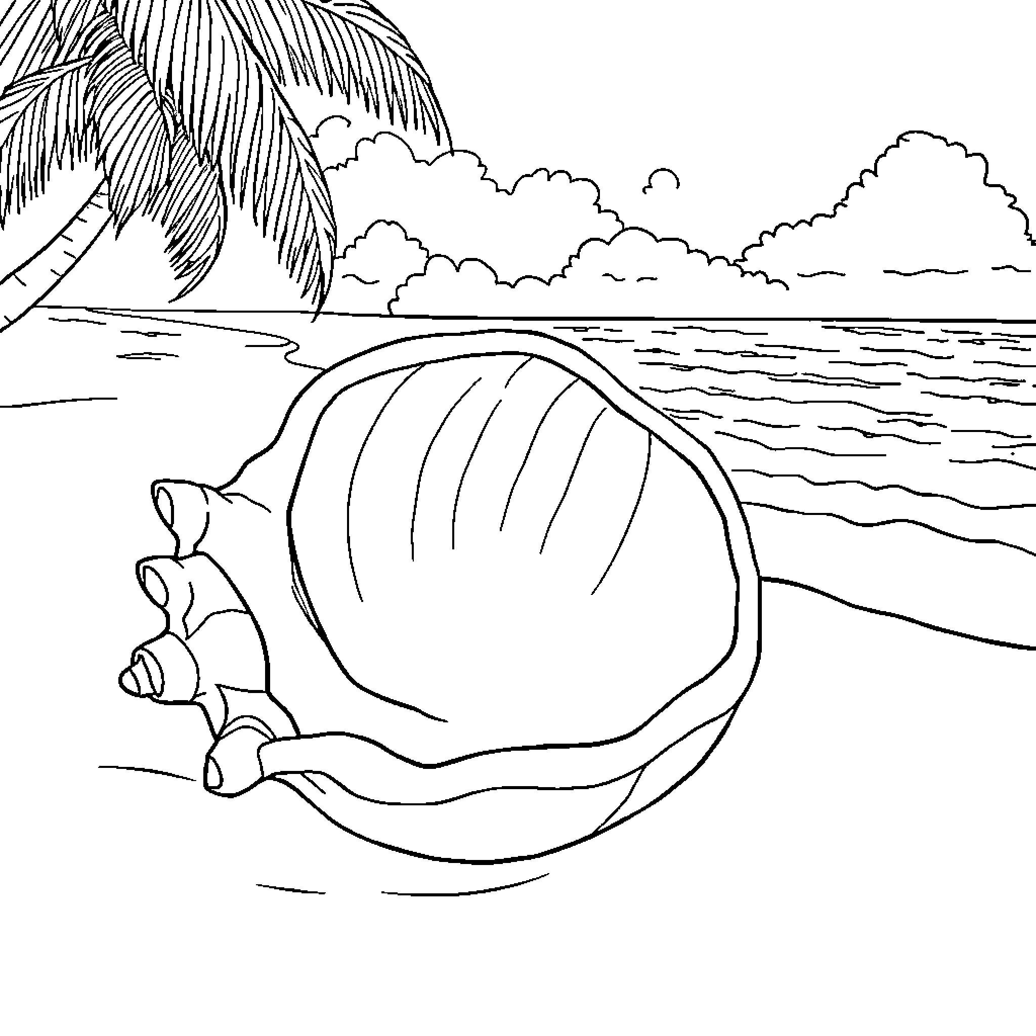 Conch shell resting on tropical beach Coloring Page (free black-and-white line drawing printable PDF for all, from beginners to advanced learners, including children, teens, adults, and seniors)