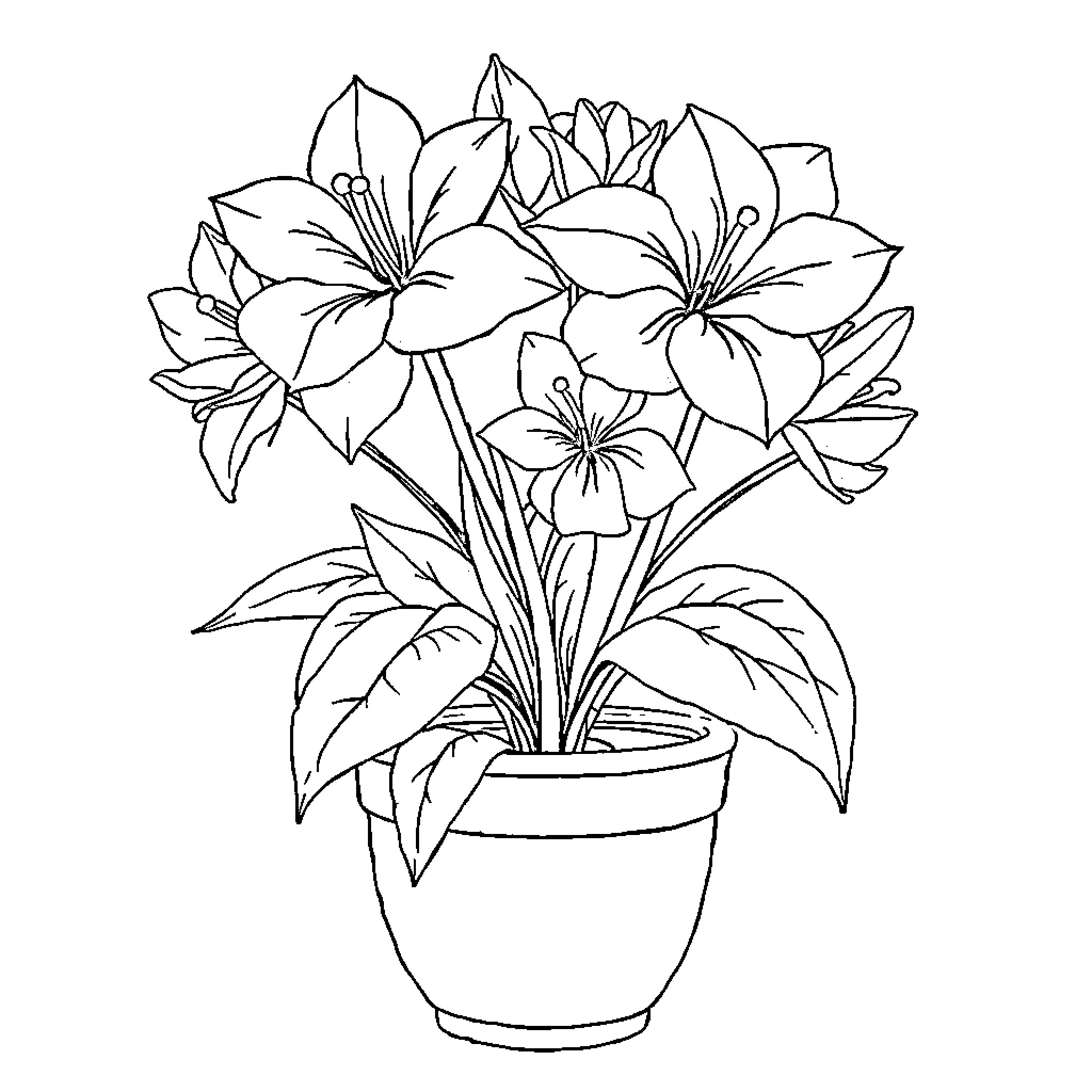 Flower bouquet in a pot Coloring Page (free black-and-white line drawing printable PDF for all, from beginners to advanced learners, including children, teens, adults, and seniors)