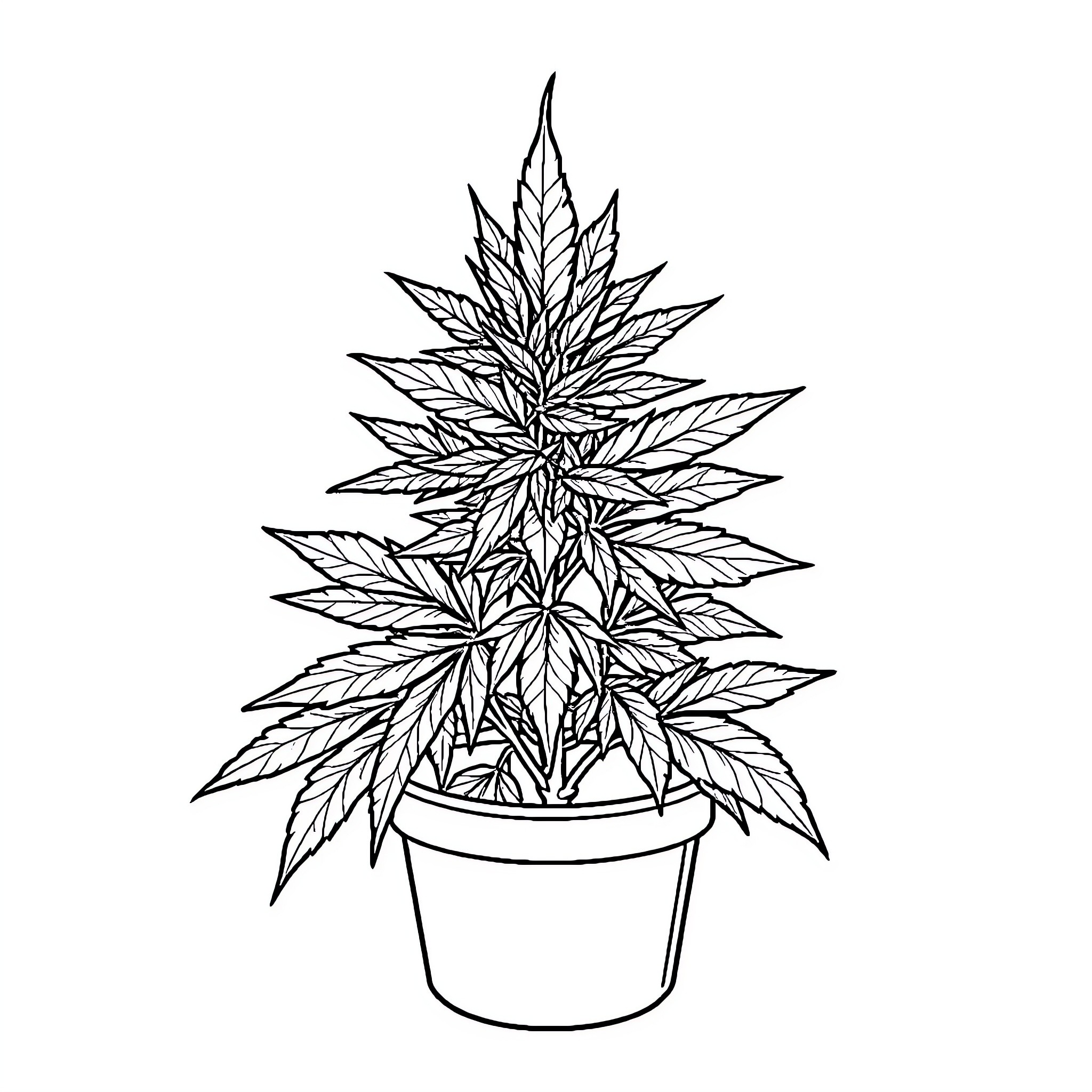 Marijuana plant growing in a pot Coloring Page (free black-and-white line drawing printable PDF for all, from beginners to advanced learners, including children, teens, adults, and seniors)