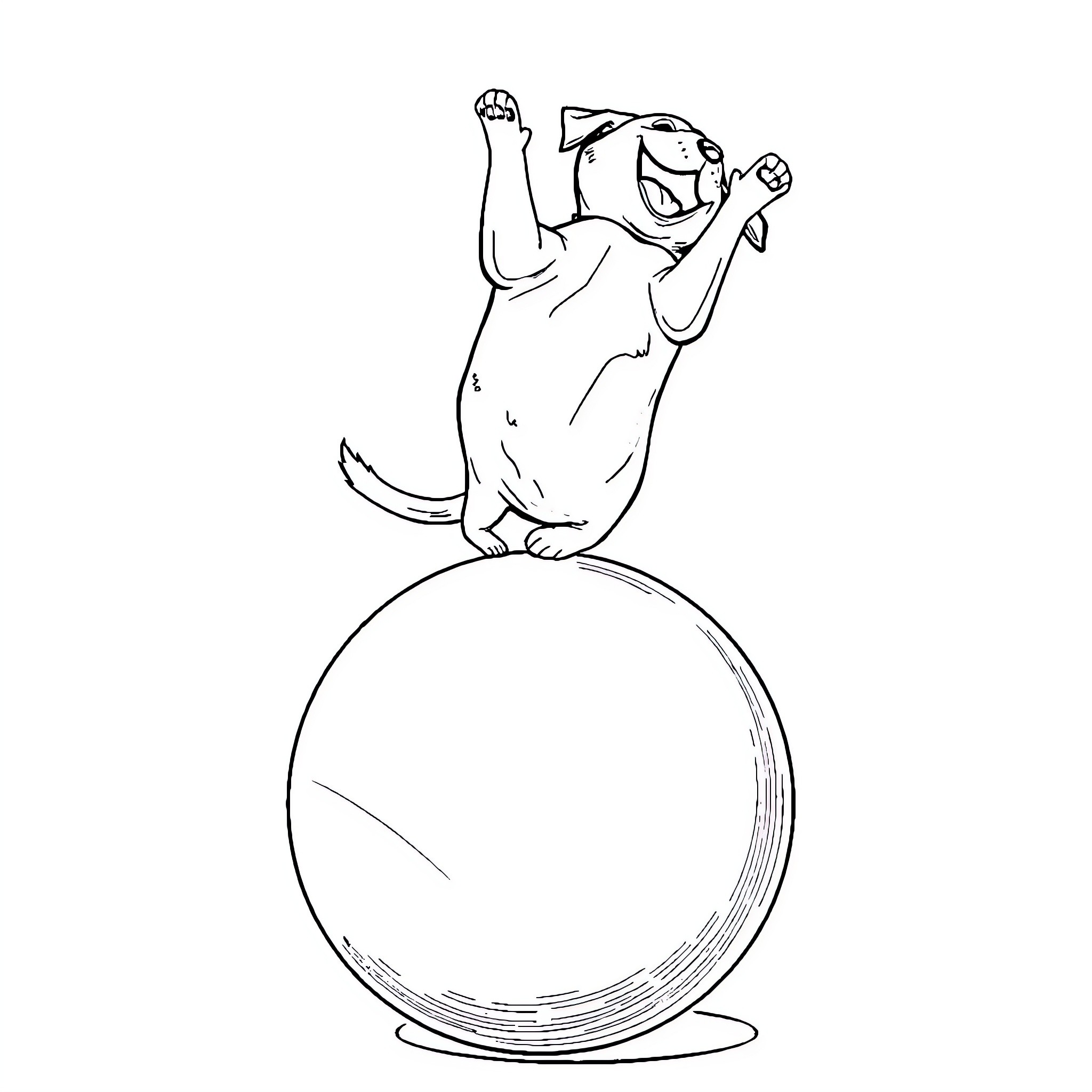 Dog balancing on a ball playfully Coloring Page (free black-and-white line drawing printable PDF for all, from beginners to advanced learners, including children, teens, adults, and seniors)