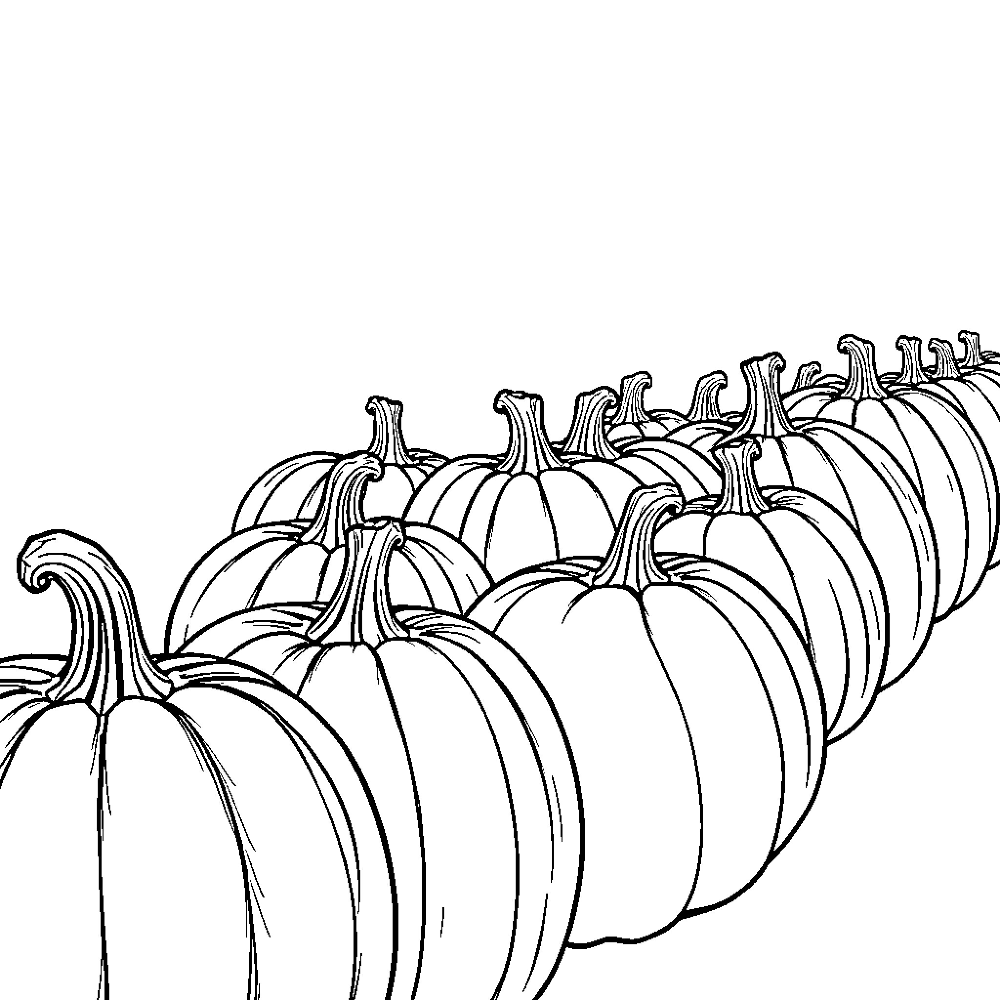 Pumpkins in a row displaying various shapes and sizes Coloring Page (free black-and-white line drawing printable PDF for all, from beginners to advanced learners, including children, teens, adults, and seniors)