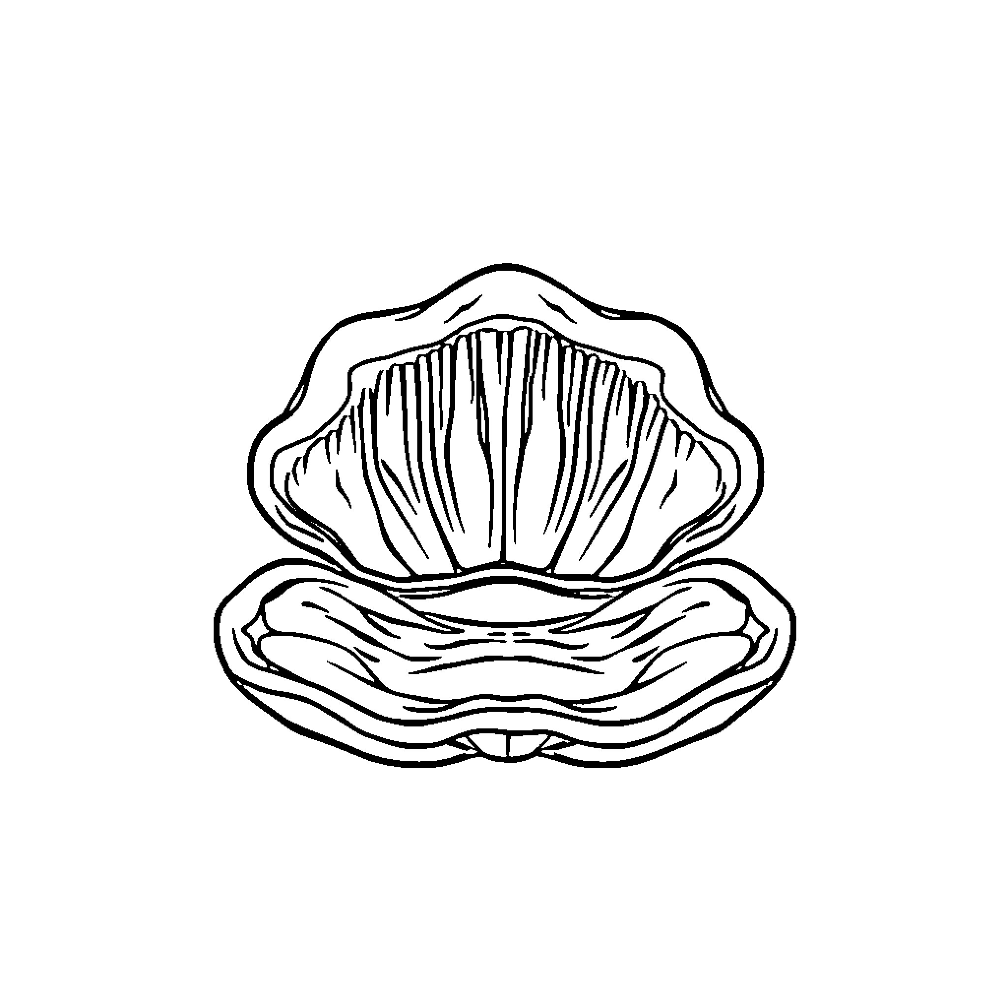 Clam with intricate shell pattern Coloring Page (free black-and-white line drawing printable PDF for all, from beginners to advanced learners, including children, teens, adults, and seniors)