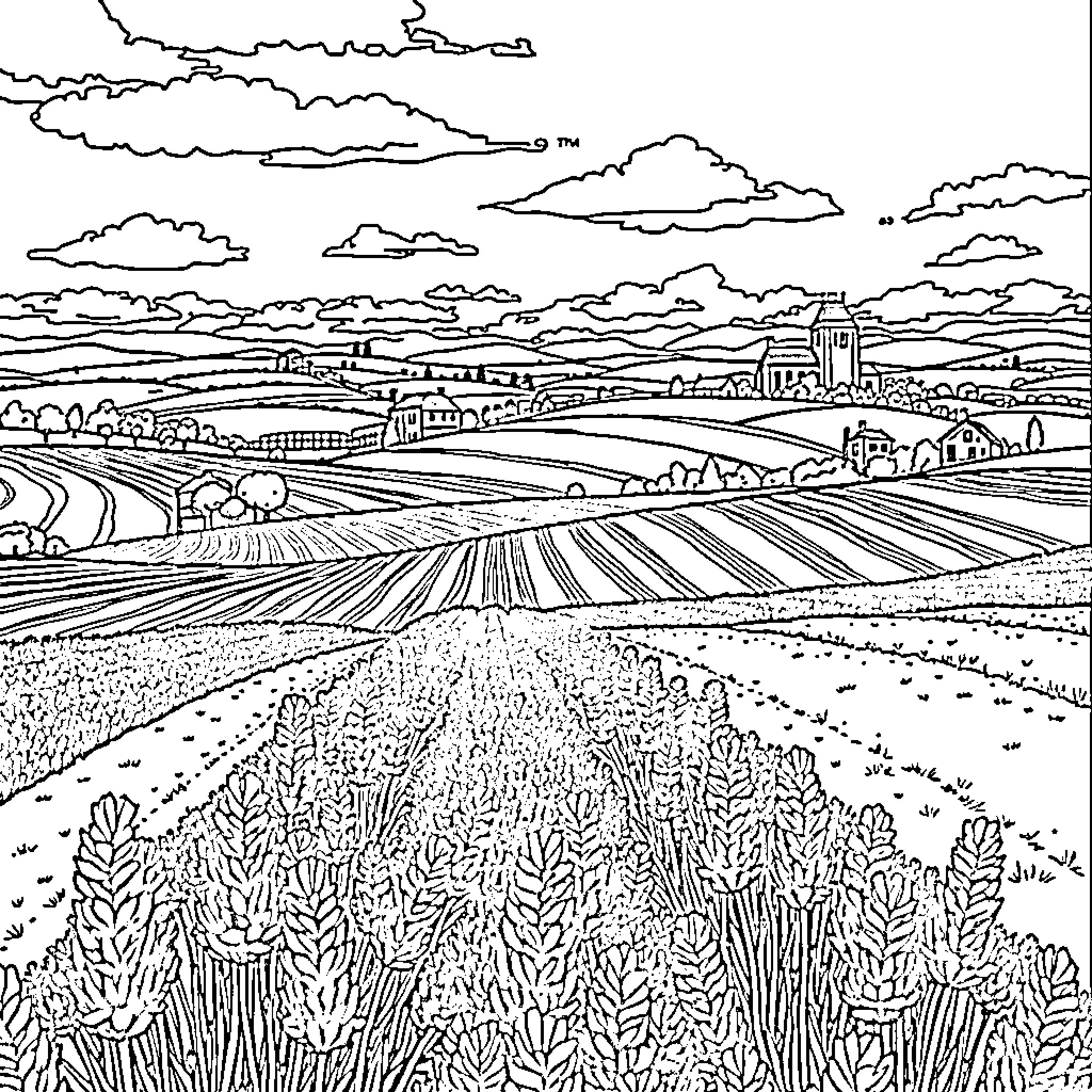 Lavender fields in rolling countryside landscape Coloring Page (free black-and-white line drawing printable PDF for all, from beginners to advanced learners, including children, teens, adults, and seniors)
