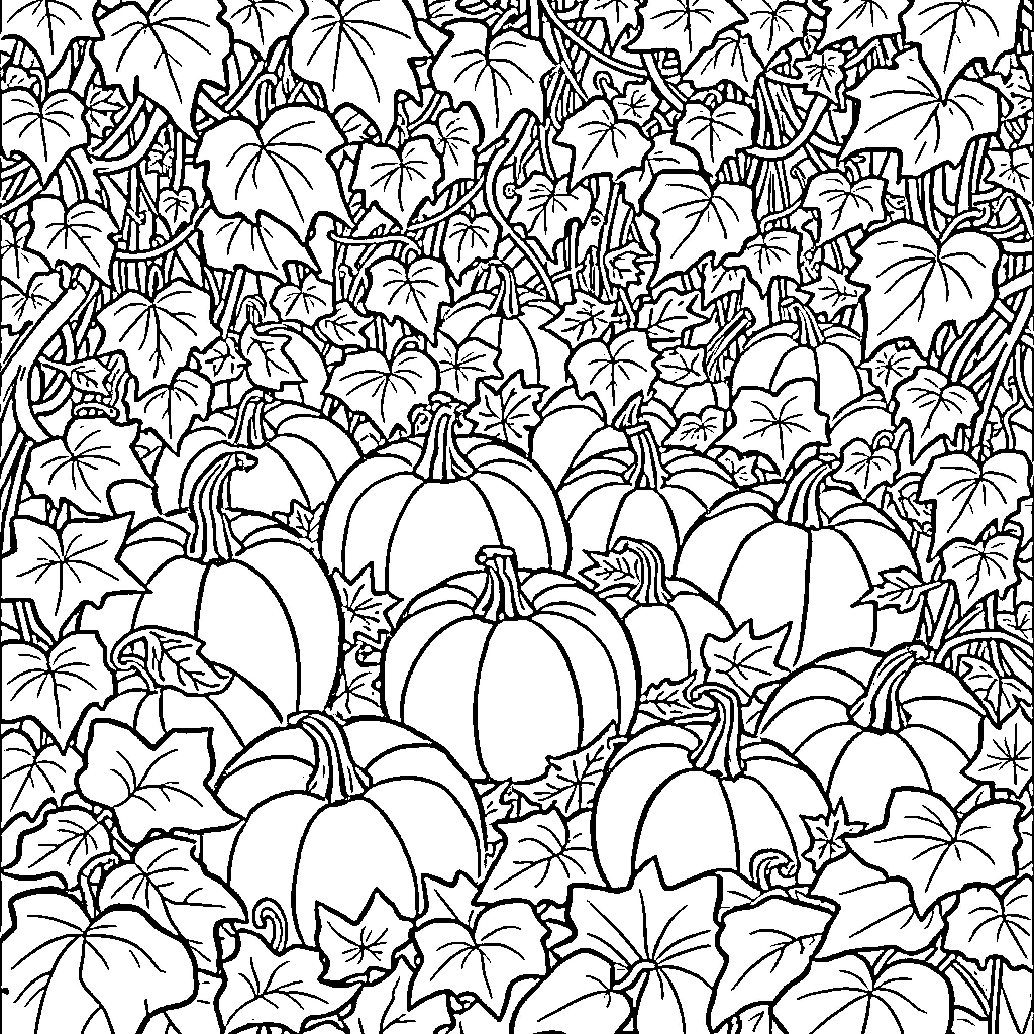 Pumpkins hidden in autumn foliage Coloring Page (free black-and-white line drawing printable PDF for all, from beginners to advanced learners, including children, teens, adults, and seniors)