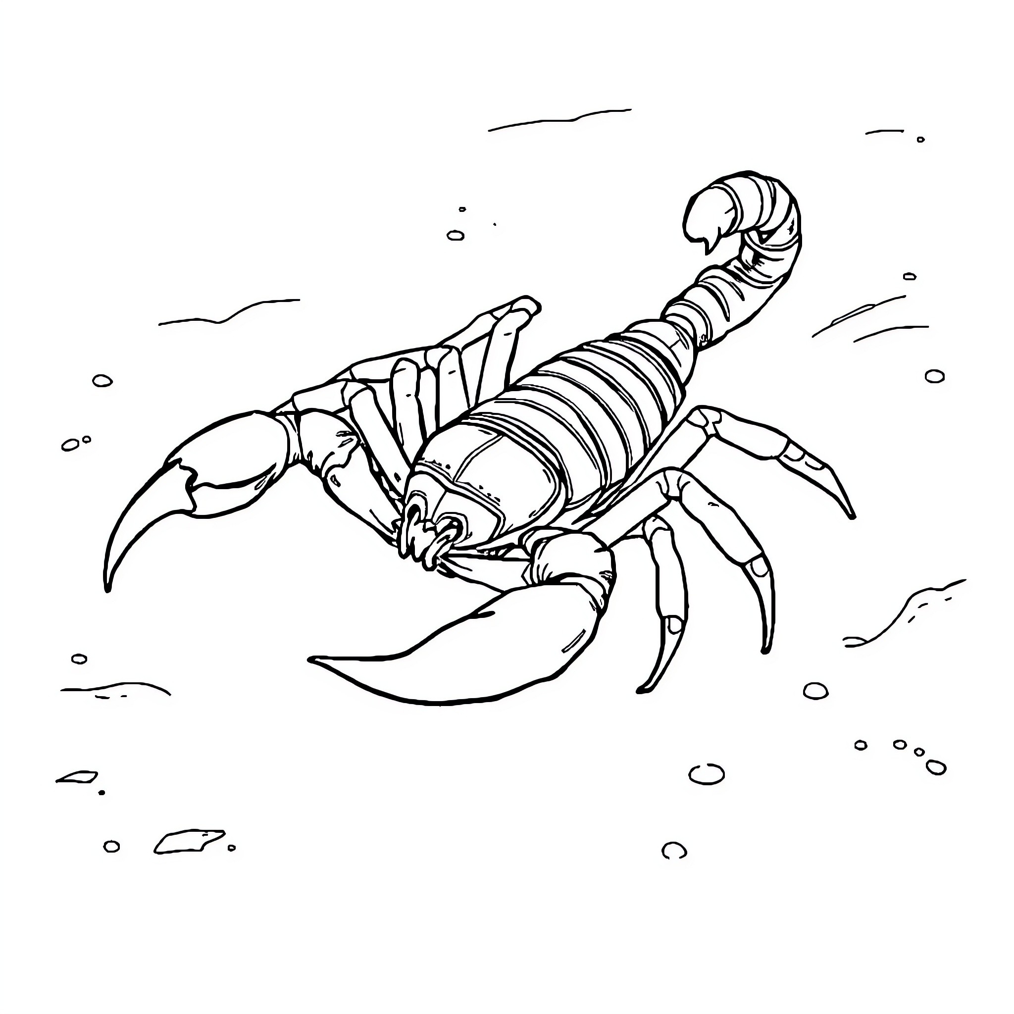 Scorpion scuttling across the seafloor Coloring Page (free black-and-white line drawing printable PDF for all, from beginners to advanced learners, including children, teens, adults, and seniors)