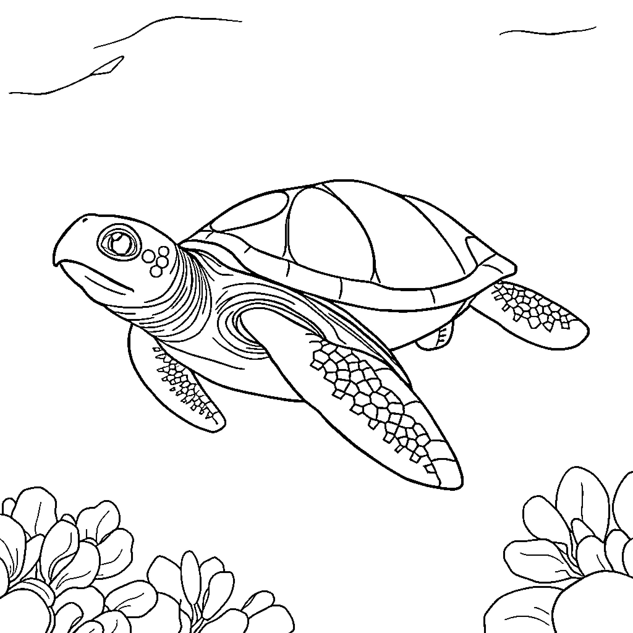 Sea Turtle swimming gracefully in the ocean Coloring Page (free black-and-white line drawing printable PDF for all, from beginners to advanced learners, including children, teens, adults, and seniors)
