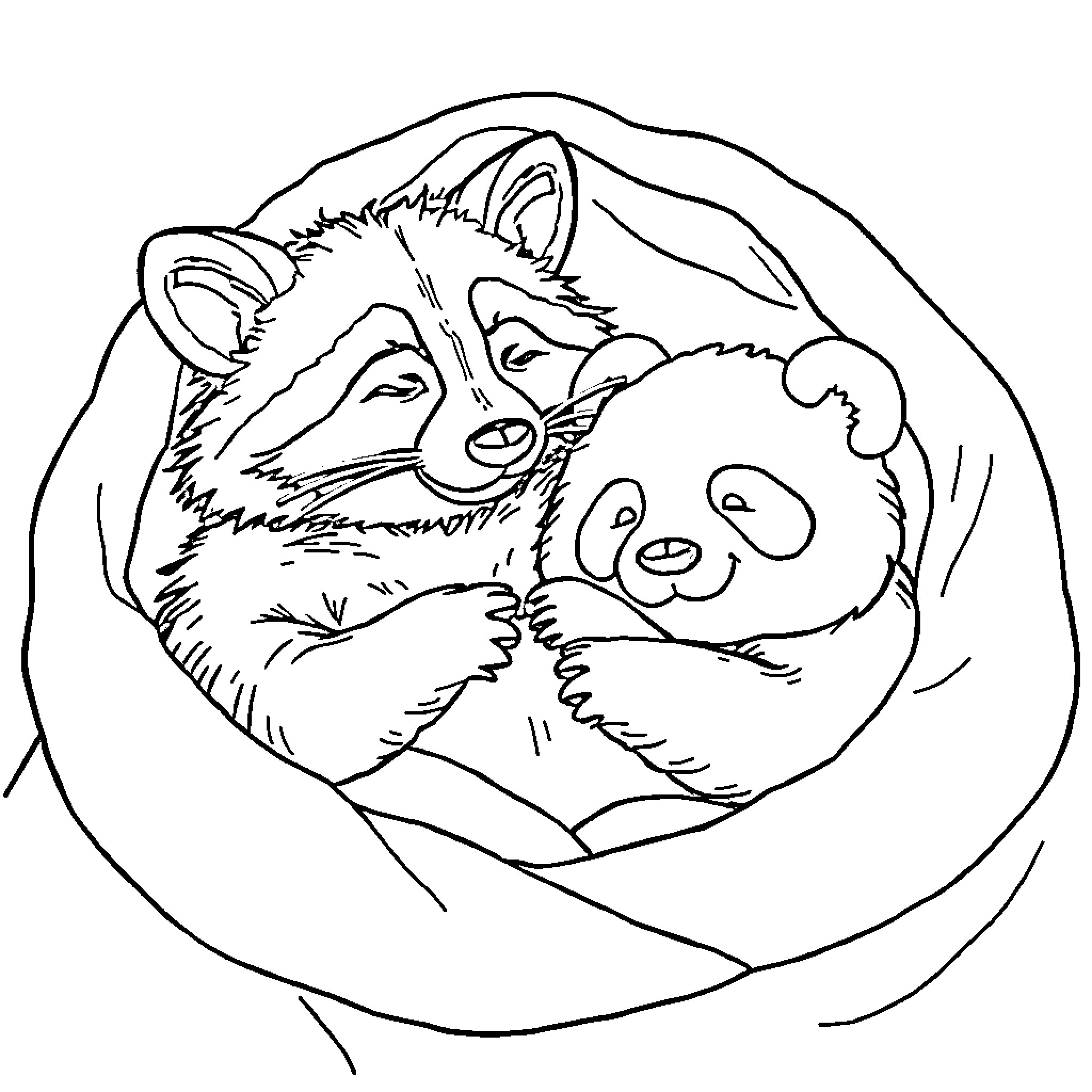 Raccoon cuddling adorable baby raccoon Coloring Page (free black-and-white line drawing printable PDF for all, from beginners to advanced learners, including children, teens, adults, and seniors)