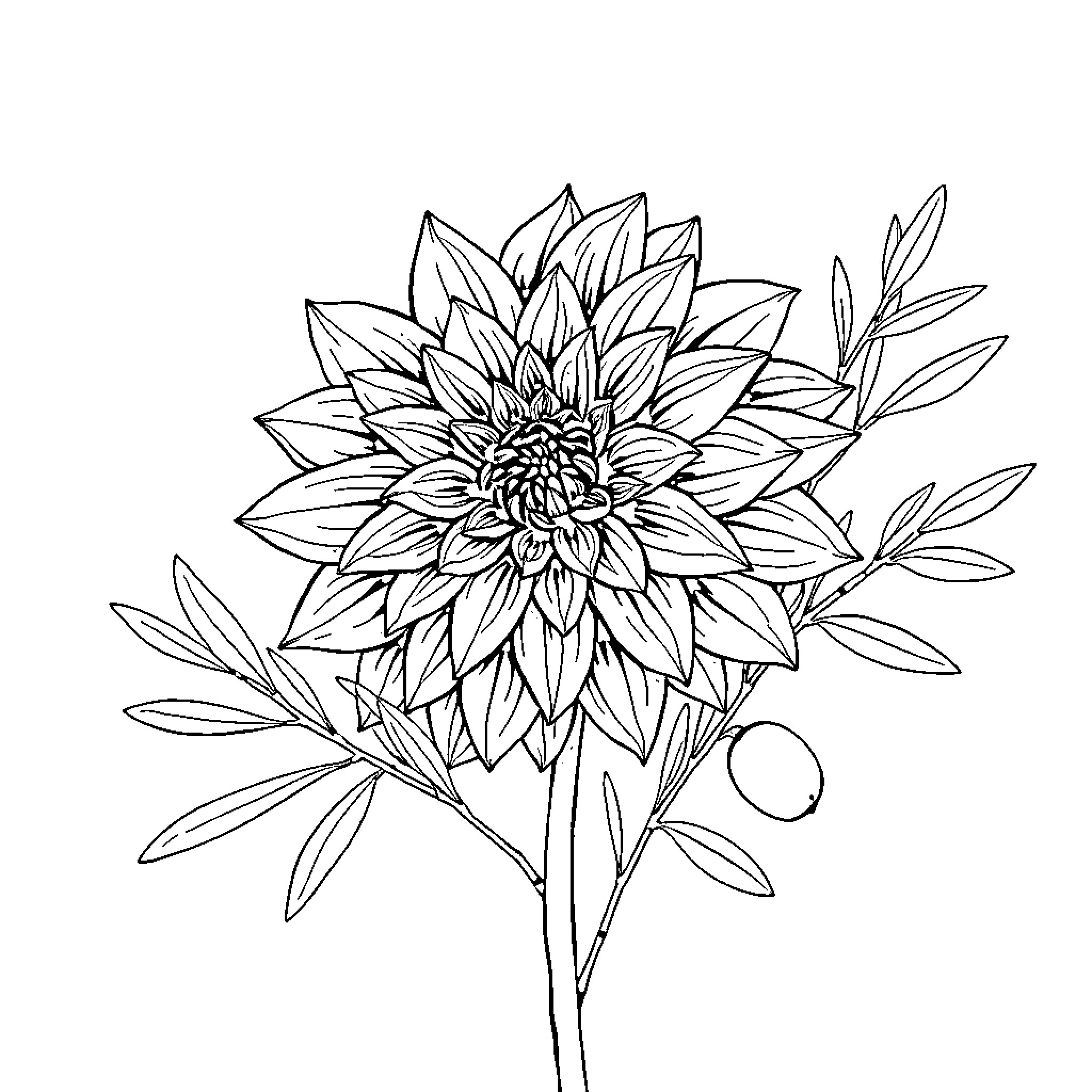 Dahlia with intricate petals and leaves Coloring Page (free black-and-white line drawing printable PDF for all, from beginners to advanced learners, including children, teens, adults, and seniors)