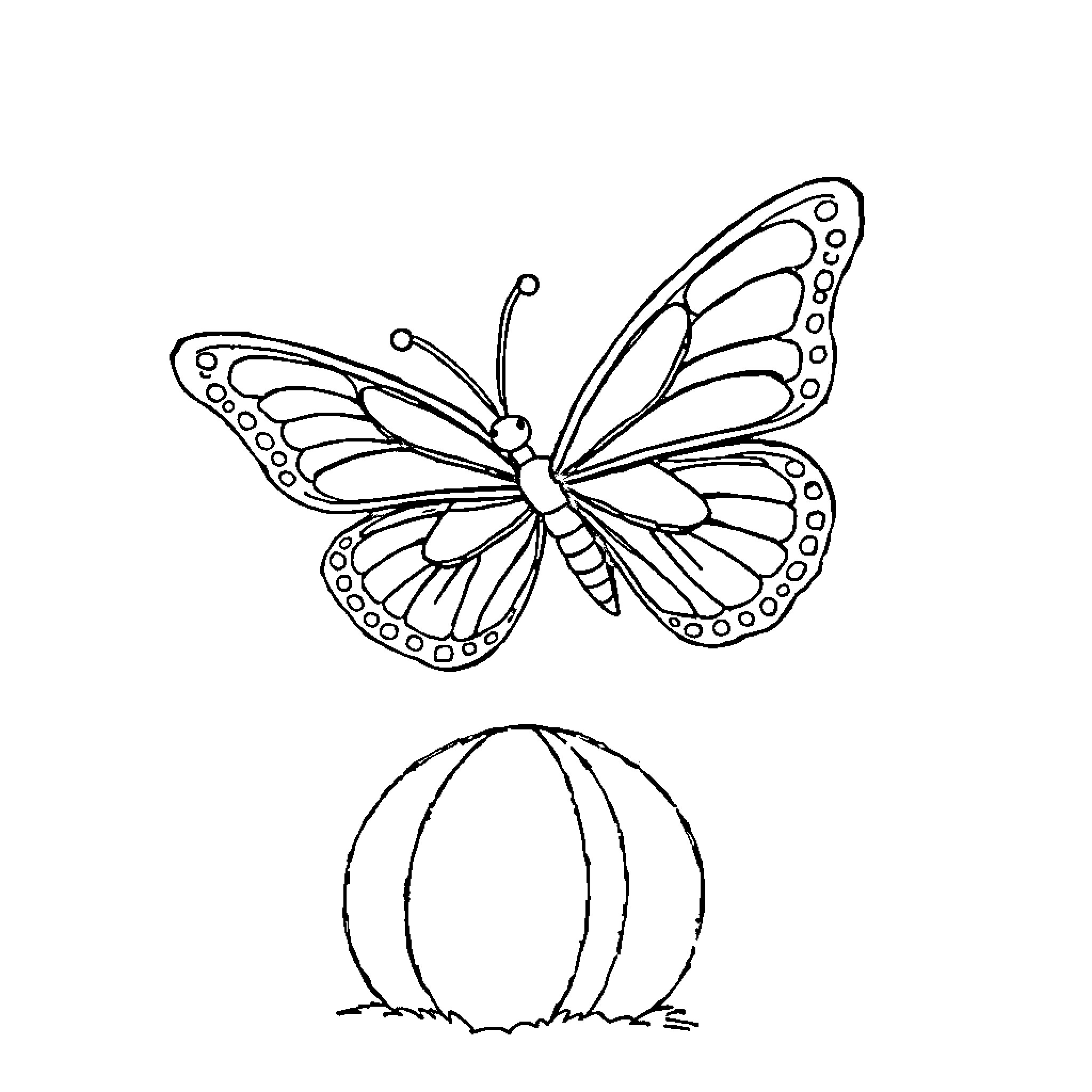 Butterfly in flight with decorative wings Coloring Page (free black-and-white line drawing printable PDF for all, from beginners to advanced learners, including children, teens, adults, and seniors)