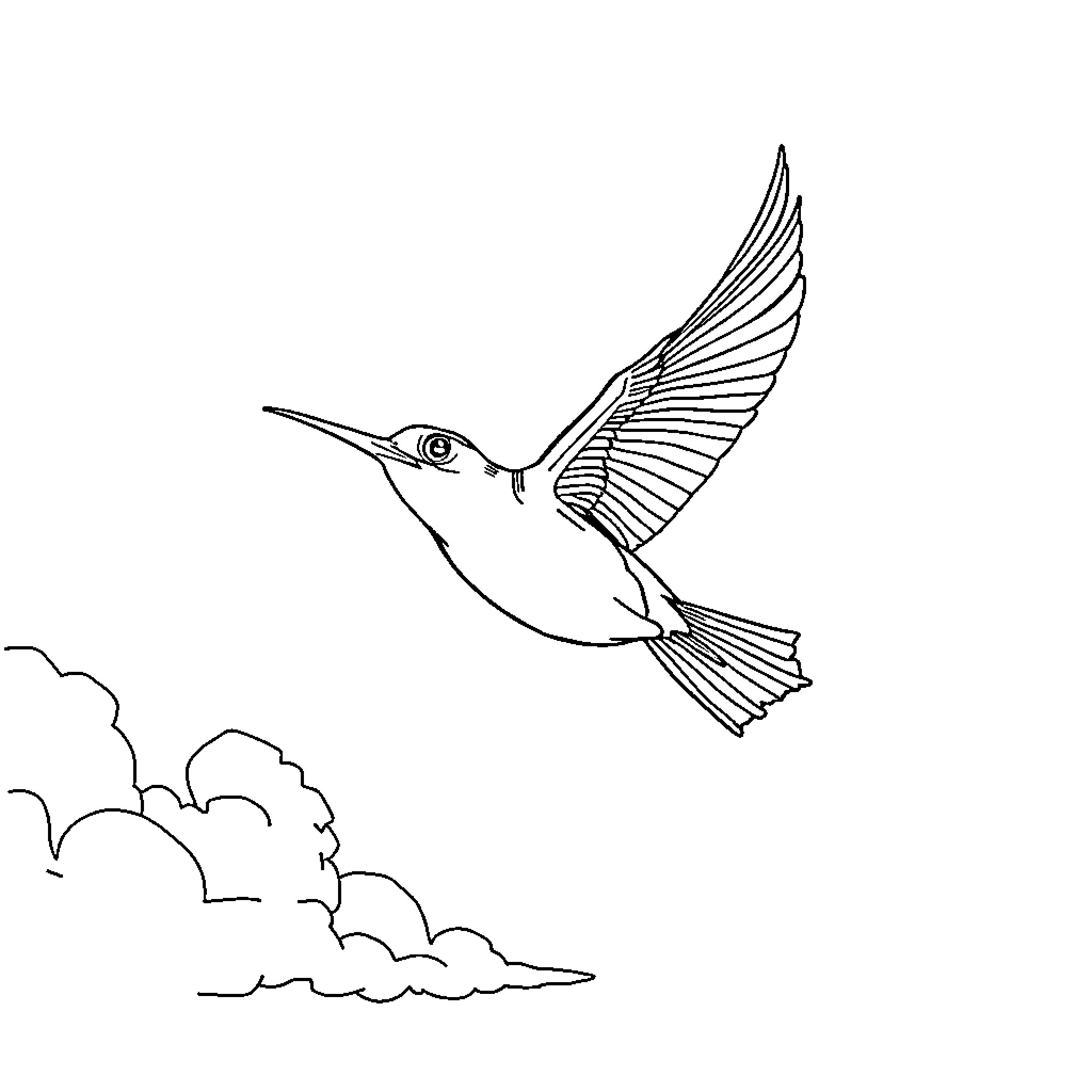 Leistokow Angler's Hummingbird in Flight Coloring Page (free black-and-white line drawing printable PDF for all, from beginners to advanced learners, including children, teens, adults, and seniors)